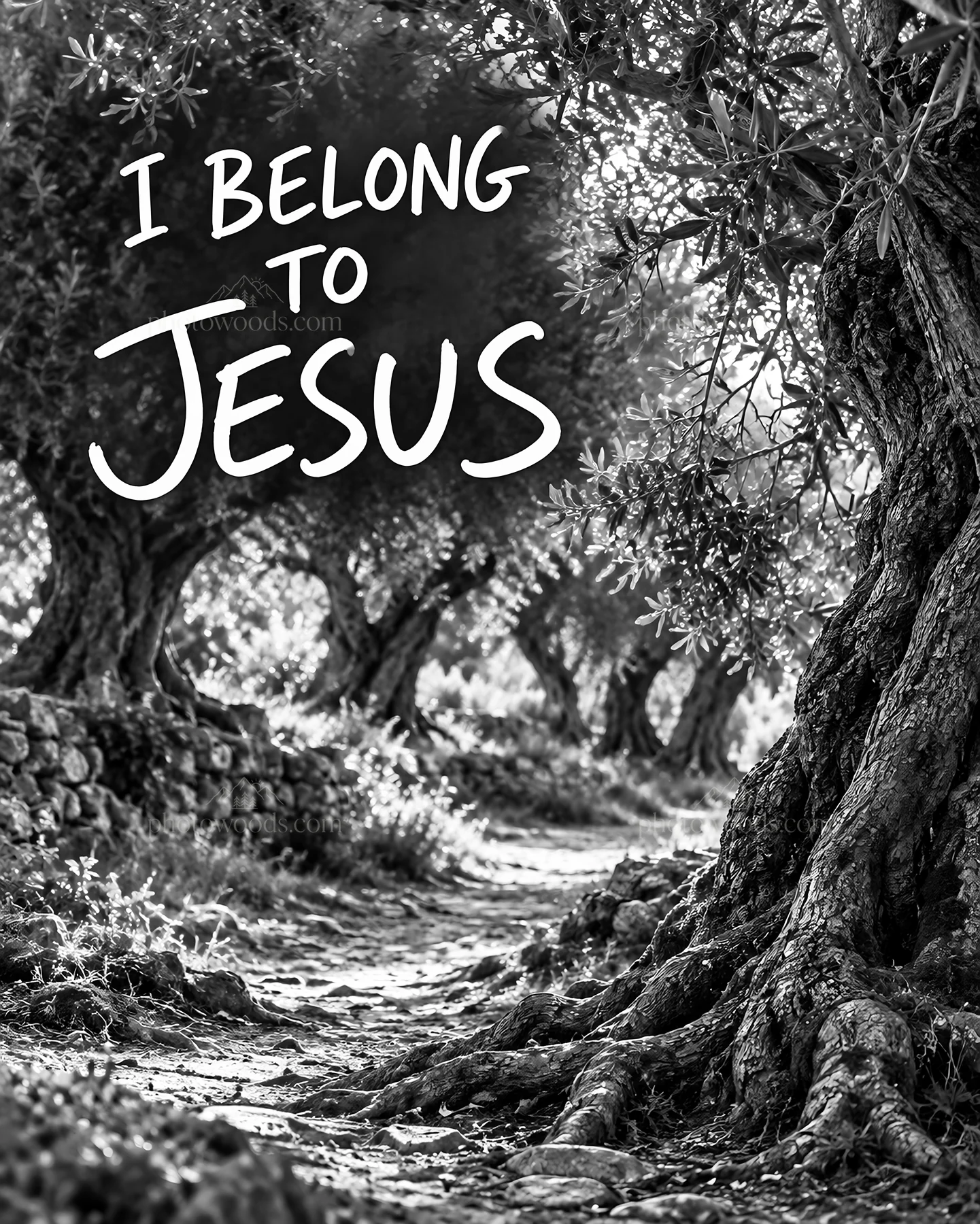 Jesus Christ in a garden path with olive trees - AI-generated stock image