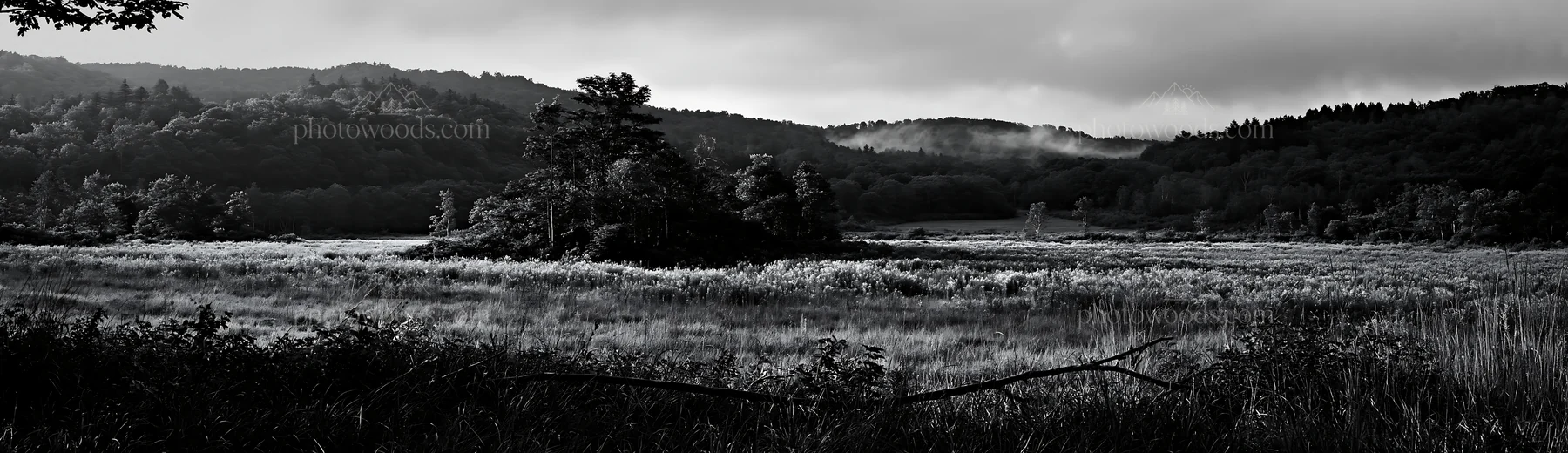 Yamagata rewilded meadow with fallen branch in the foreground - AI-generated stock image