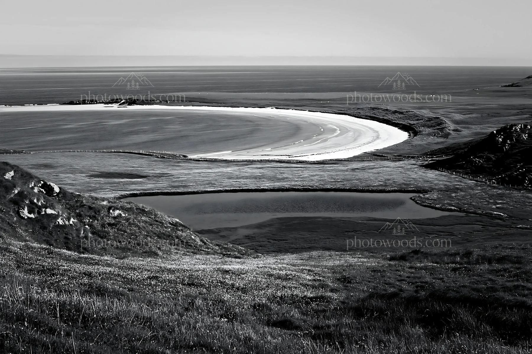 Machair beach meadow with pond and ocean view - AI-generated stock image