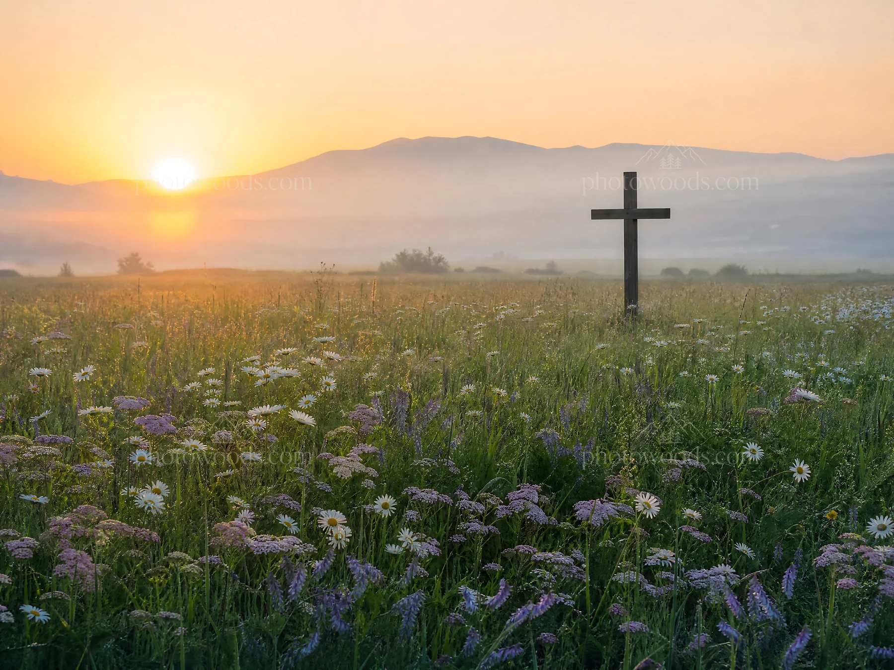 Wooden Christian cross in meadow at sunrise - AI-generated stock image