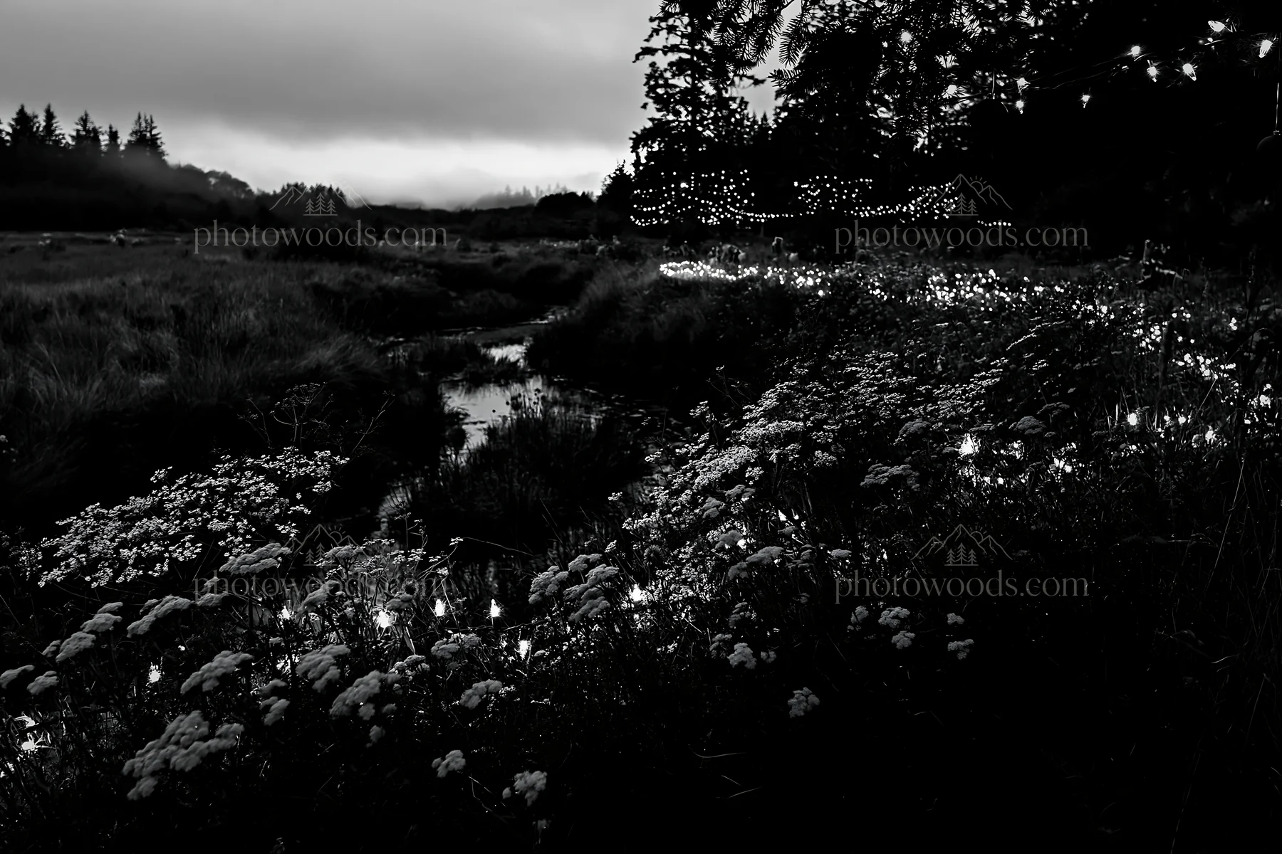 Christmas lights beside a stream in a meadow at dusk - AI-generated stock image