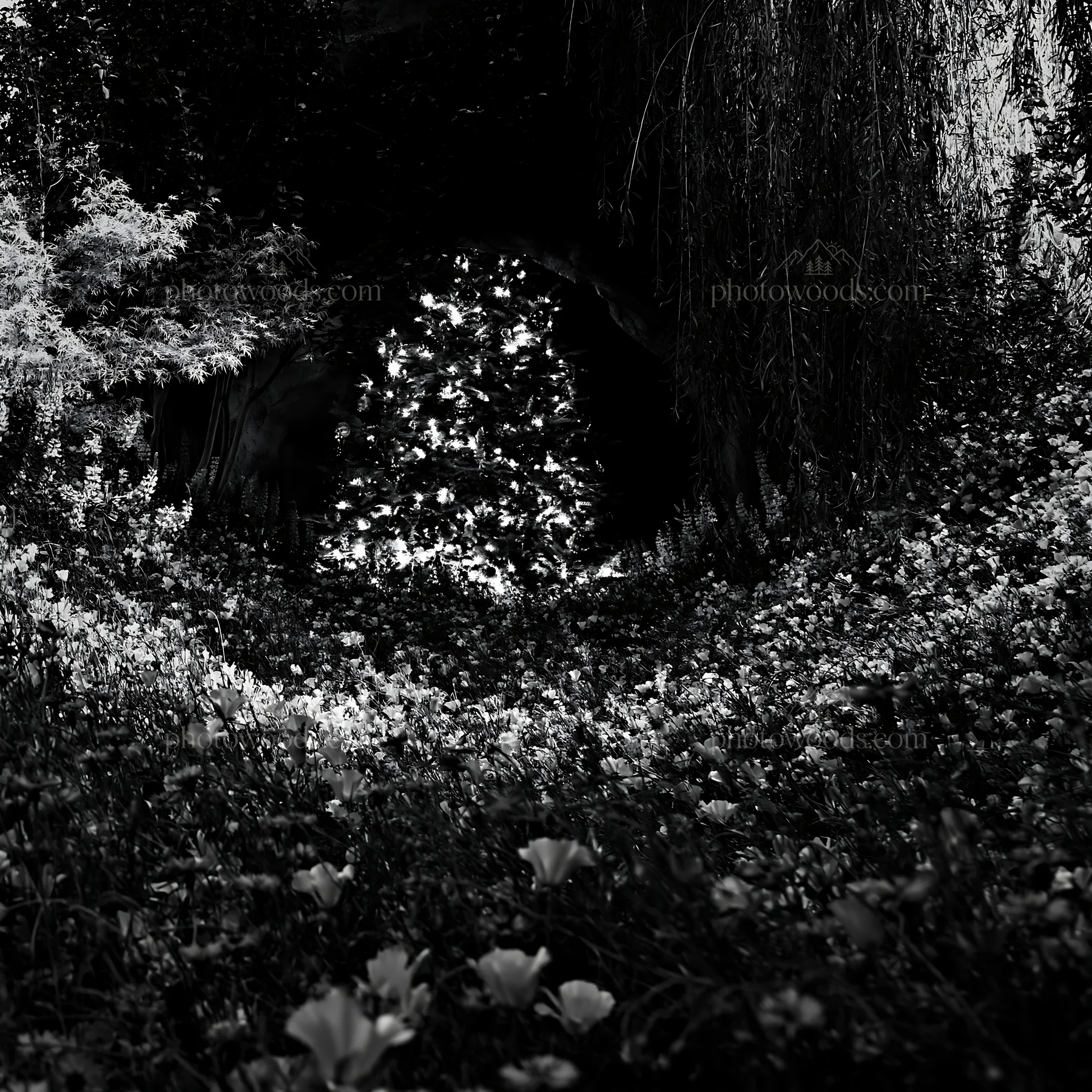 Christmas tree in meadow by cave - AI-generated stock image