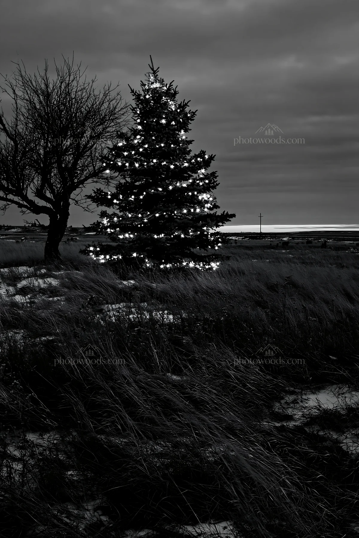 Decorated Christmas tree in snowy meadow under evening lights - AI-generated stock image