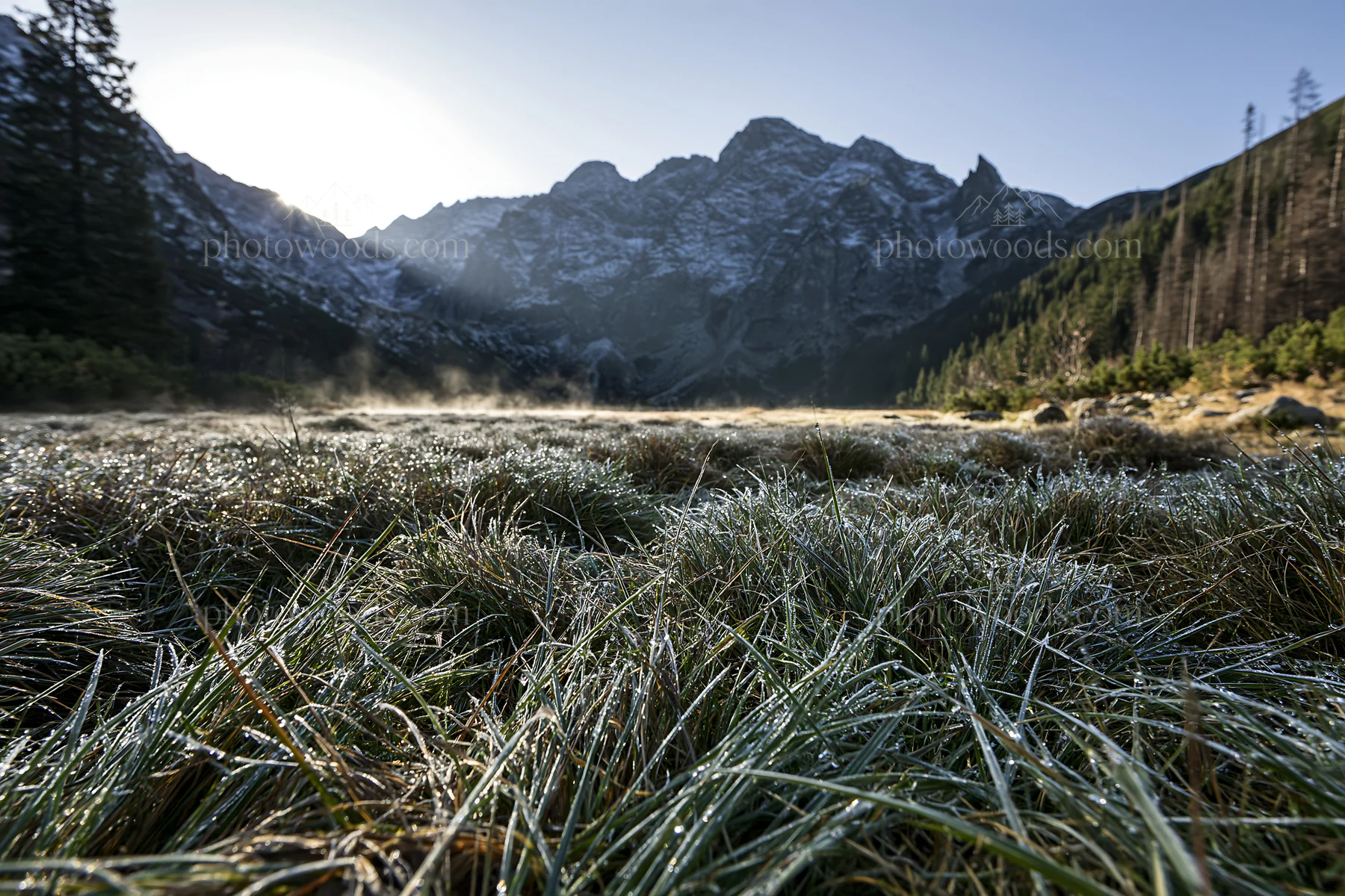 Misty morning in a rolling valley with tall mountains - AI-generated stock image