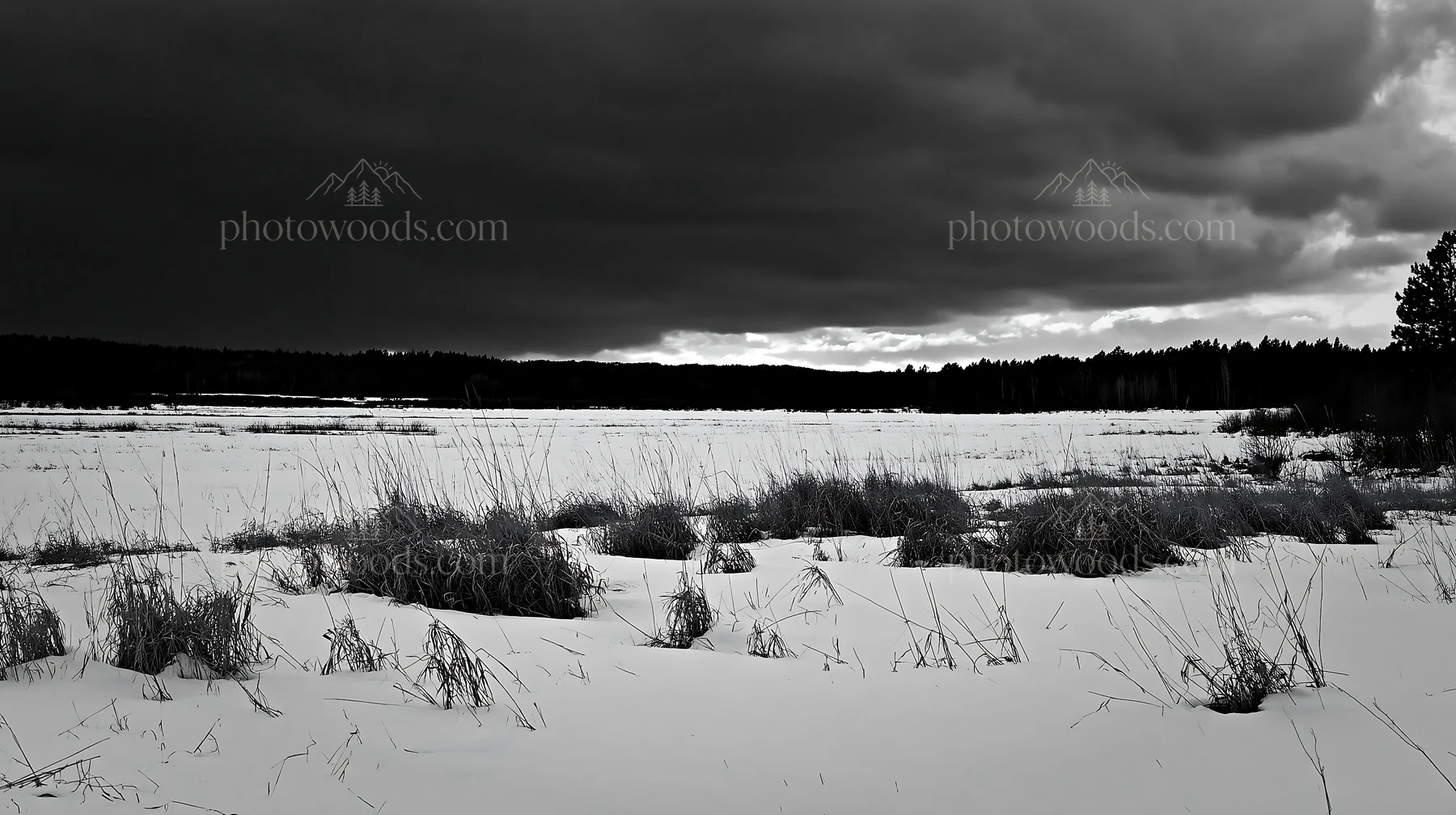 Black and white snowbound meadow with dry grass and darkening sky - AI-generated stock image