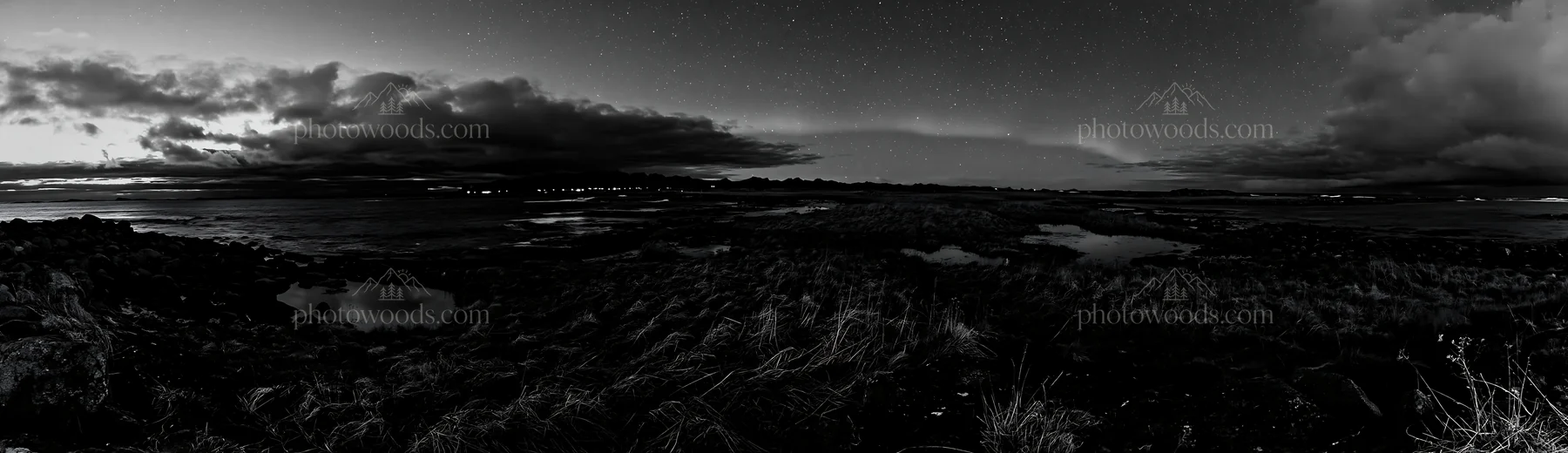 Aurora view over meadow coast at night - AI-generated stock image