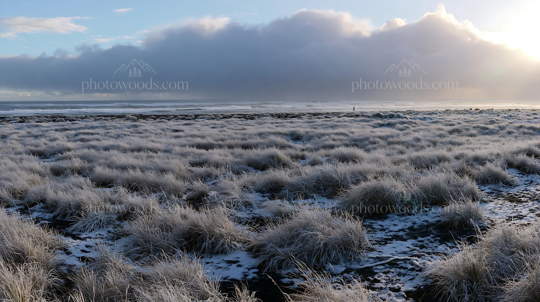 Snowy beach meadow with grass and cloudy sky at the shoreline - AI-generated stock image