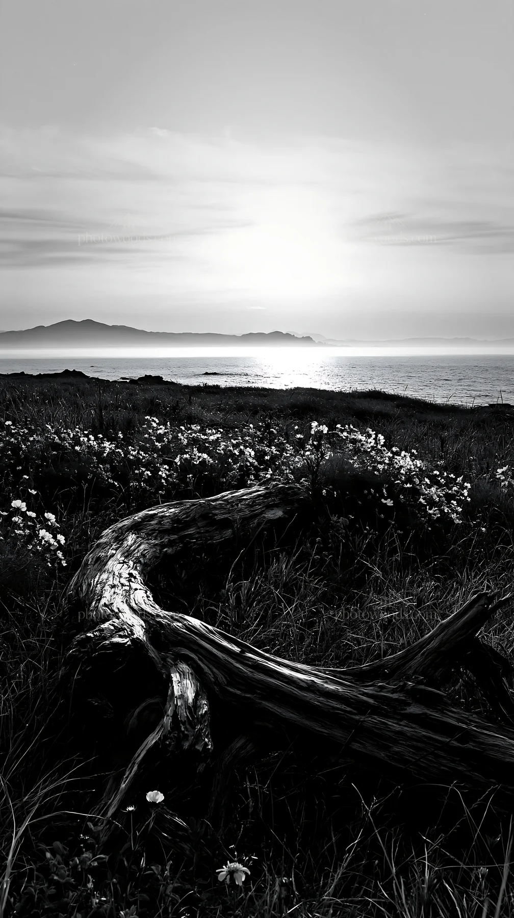 Nagasaki coastal meadow with driftwood and flowers at sunset - AI-generated stock image