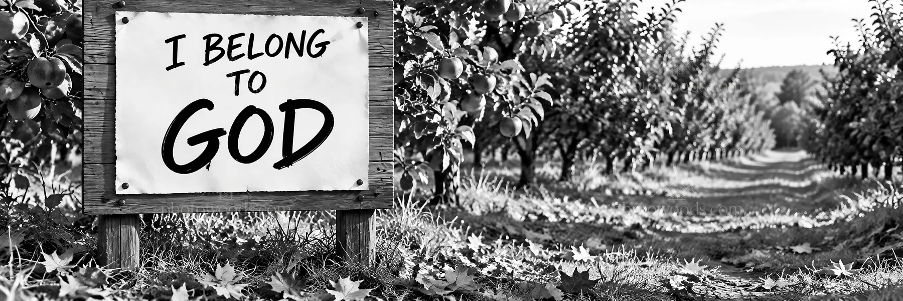 Jesus Christ teaching in a field of trees - AI-generated stock image