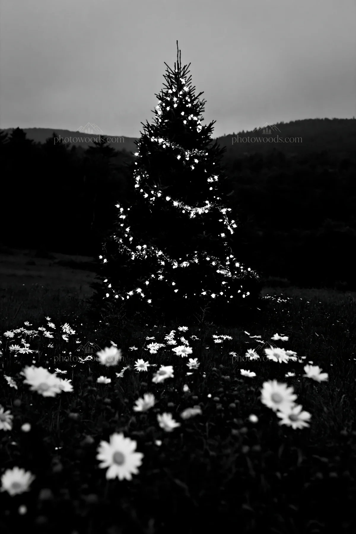 Vibrant Christmas tree in meadow at dusk with flowers - AI-generated stock image