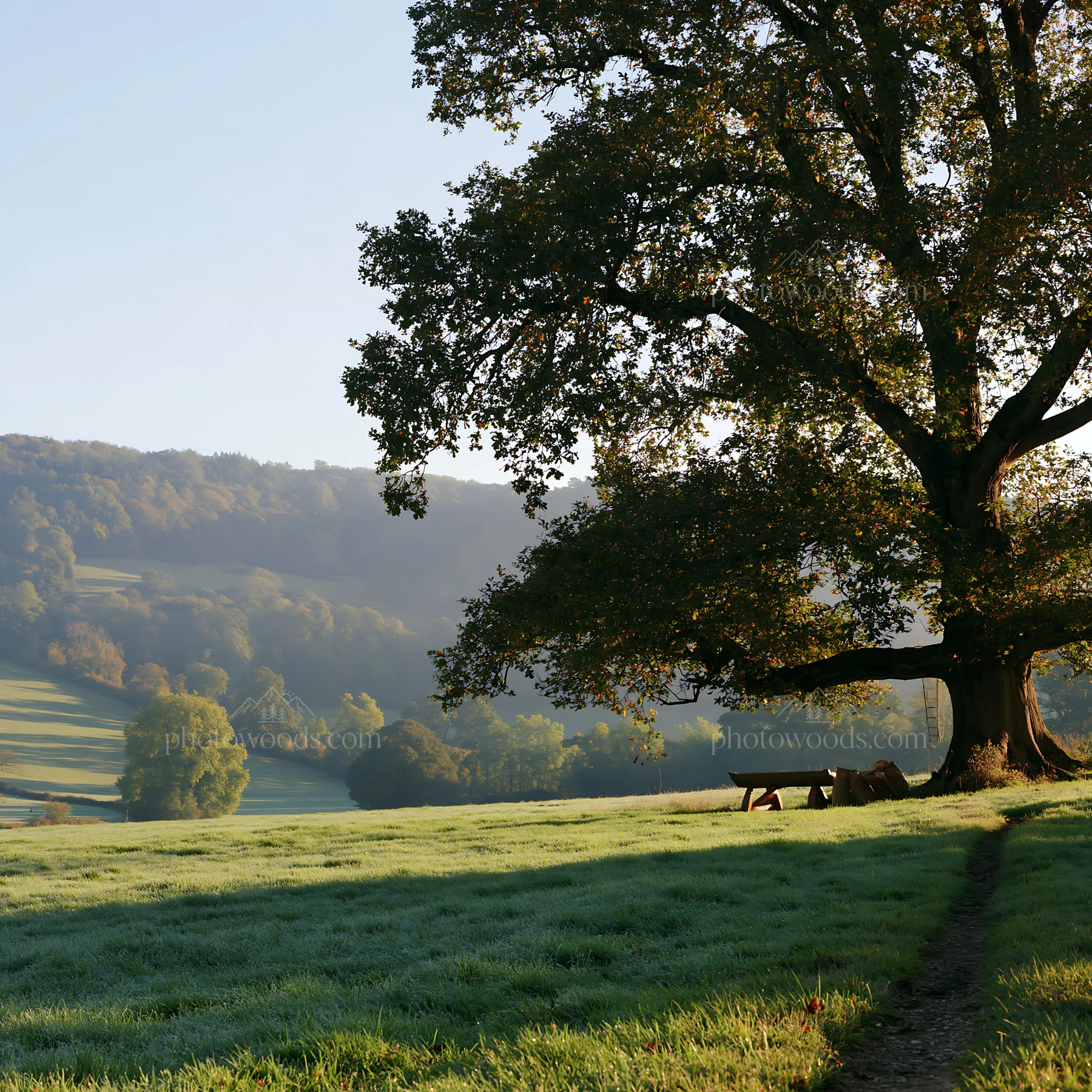 Morning light in a meadow with a large tree and distant hills - AI-generated stock image