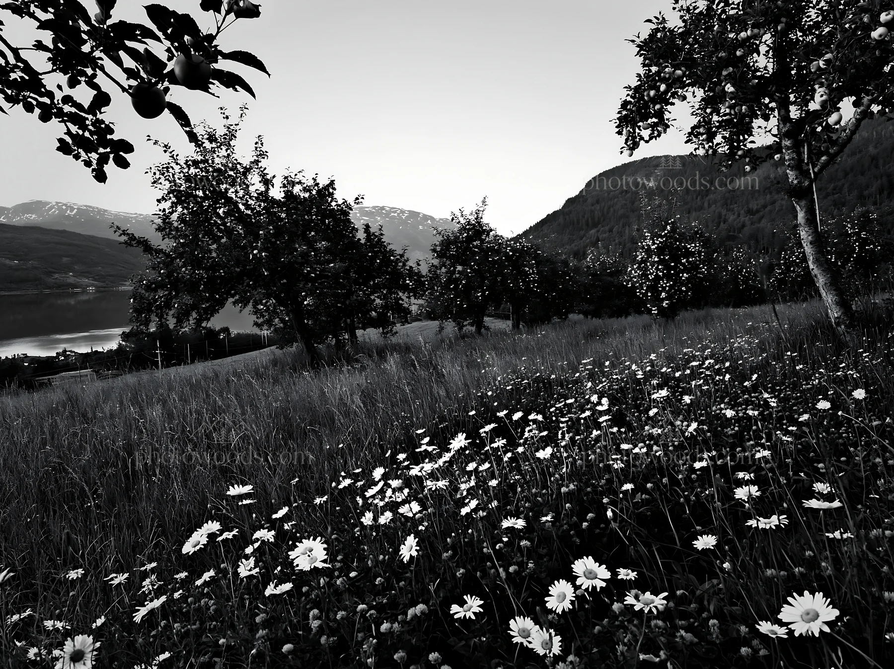 Lakeside orchard meadow filled with flowers and trees - AI-generated stock image