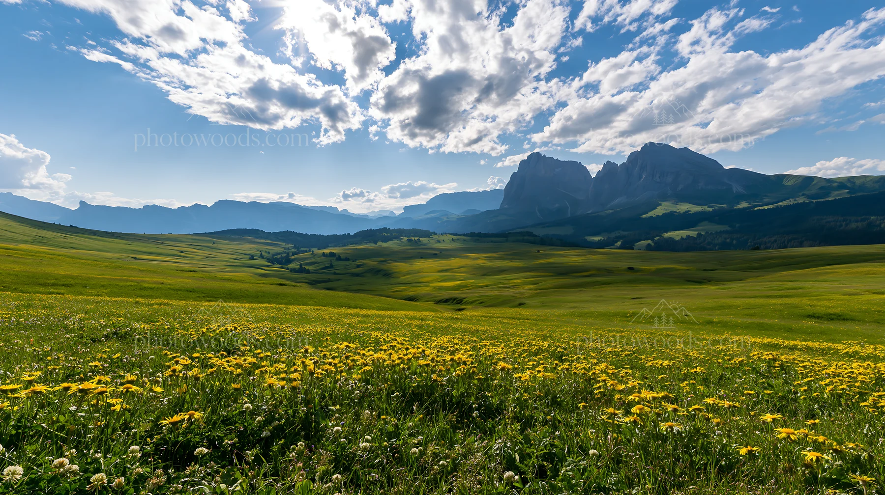 Sunbeams shining over Alpe di Siusi meadow with mountains - AI-generated stock image