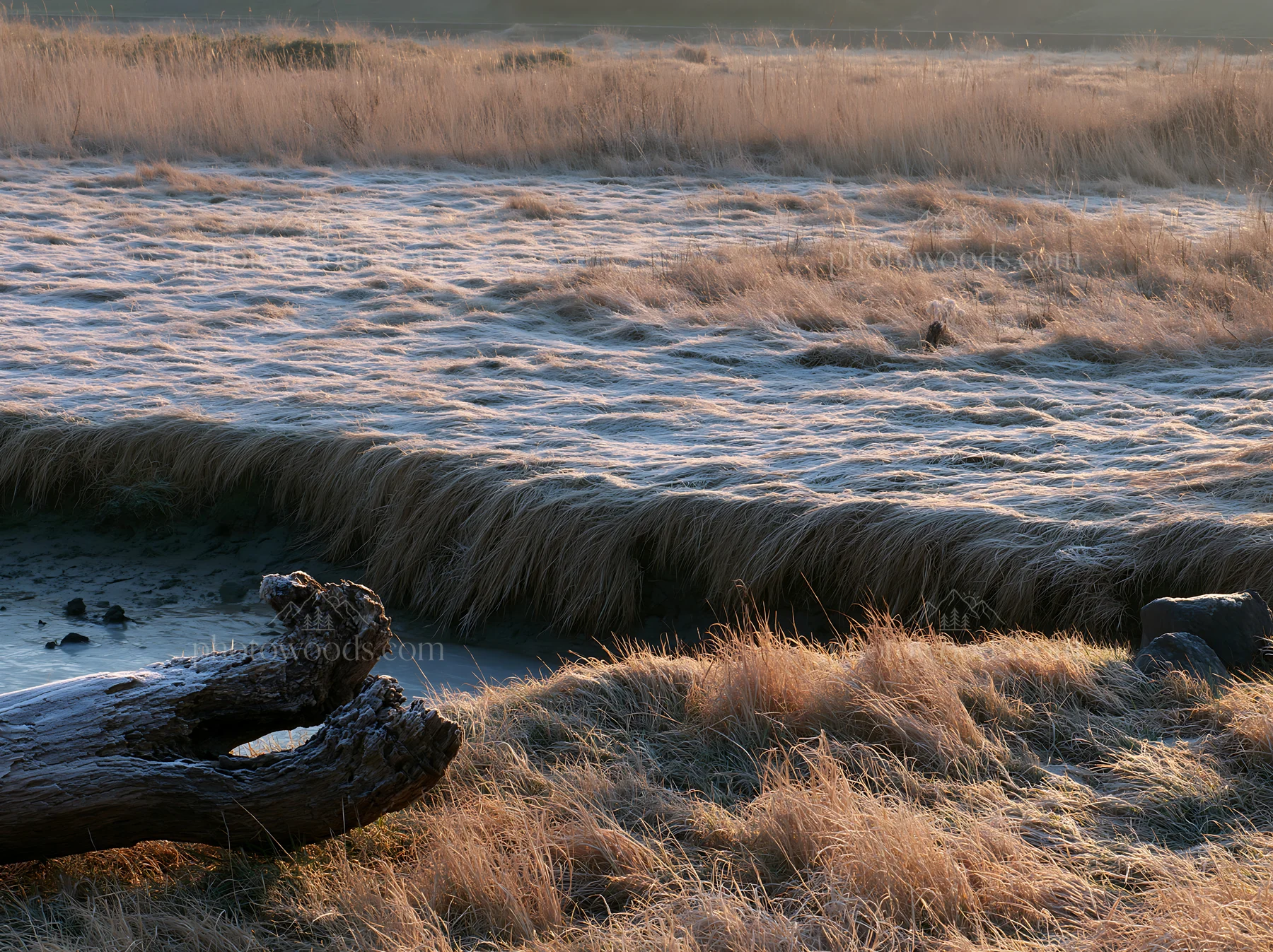 Nagasaki coastal meadow driftwood foreground mood - AI-generated stock image