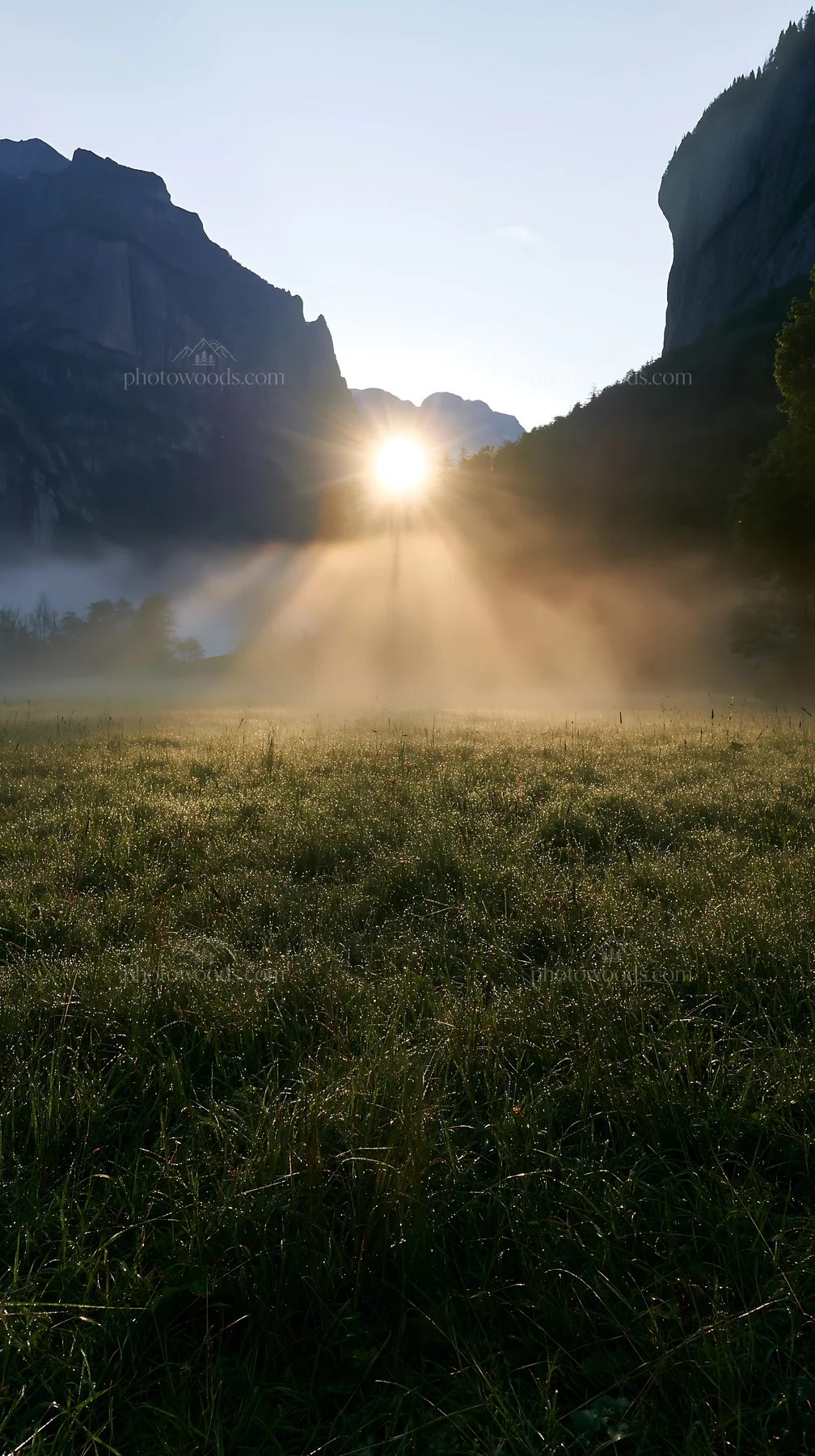 Lauterbrunnen Valley meadow light rays create morning glow - AI-generated stock image