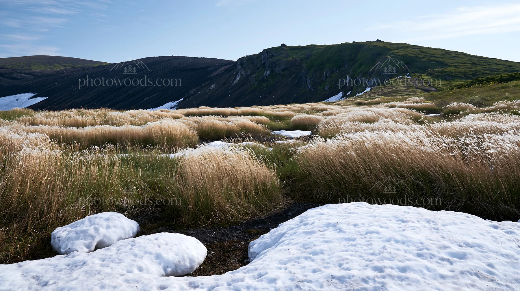 Akita snowmelt meadow with silver grasses in daylight - AI-generated stock image