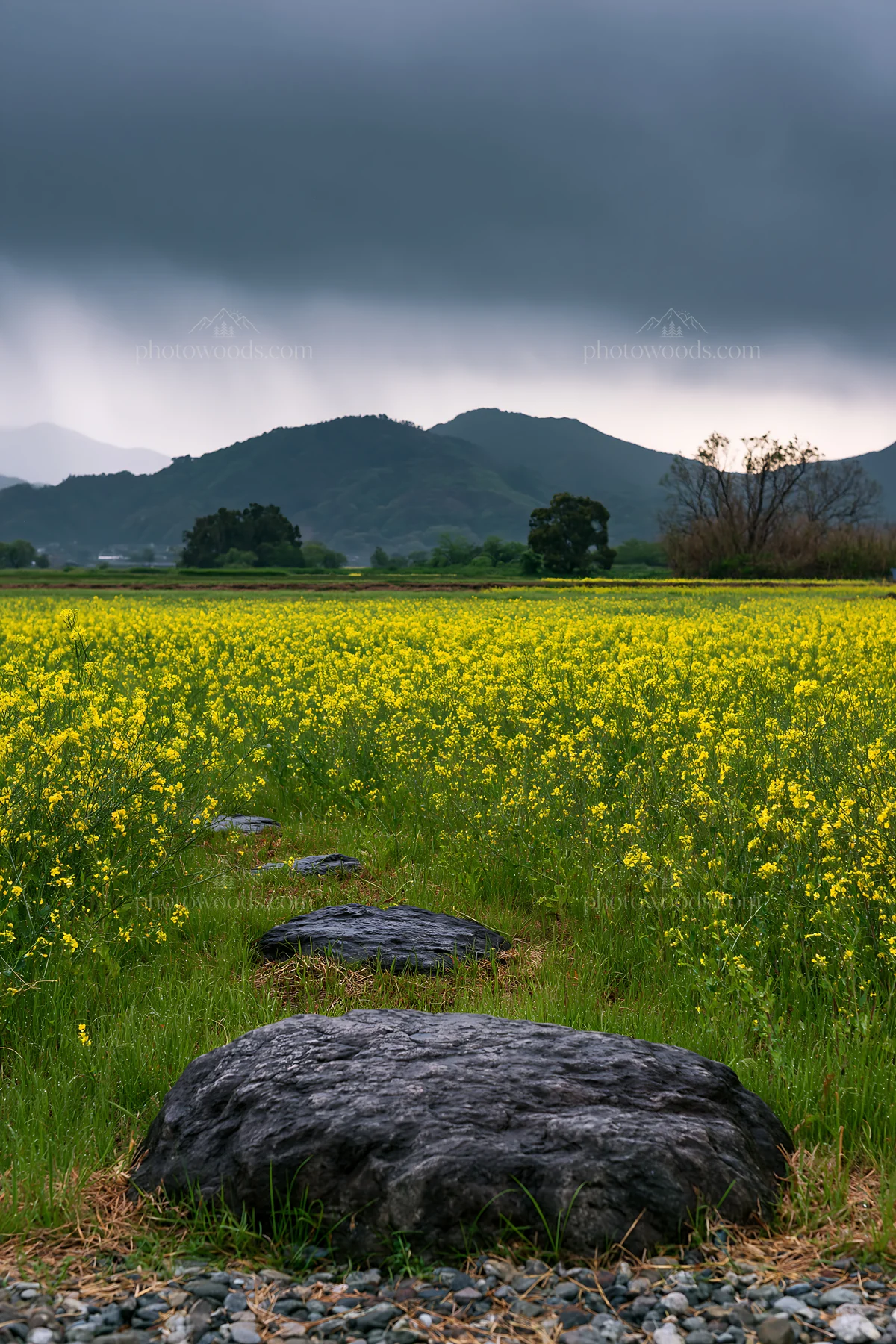 Hiroshima meadow with rocks under rainy sky