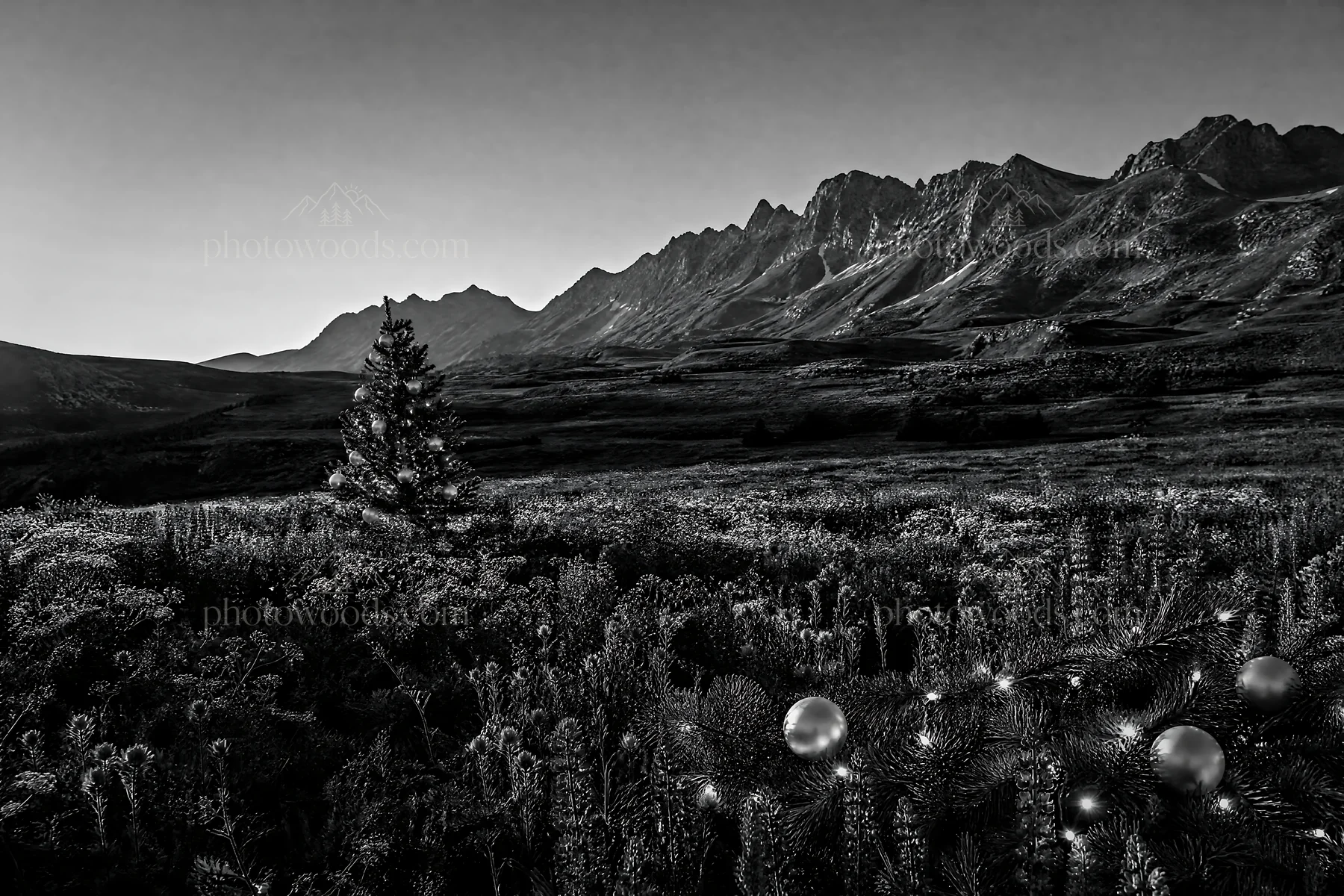 Christmas tree in mountain valley meadow - AI-generated stock image