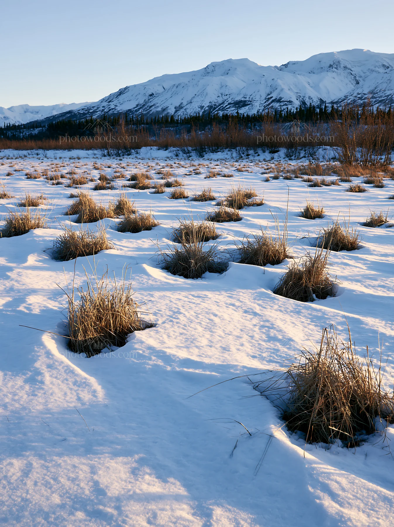 Snowmelt meadow with grass patches and mountains in the distance - AI-generated stock image