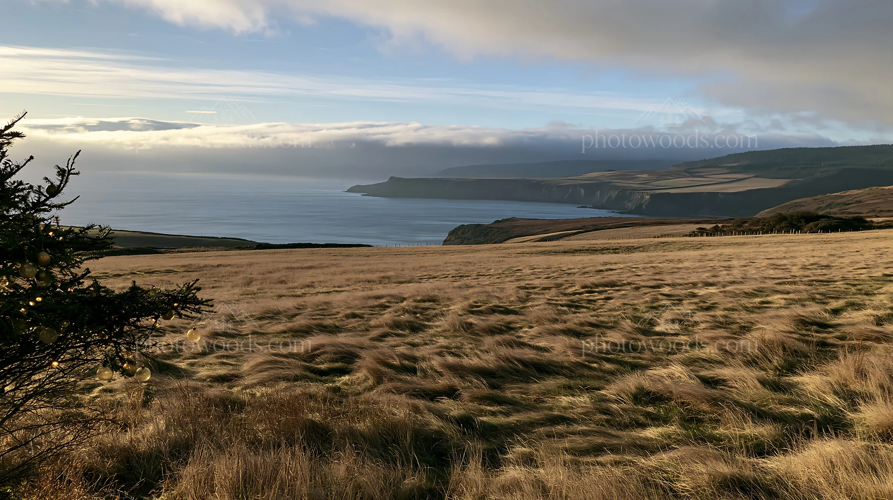 Expansive meadow with coast view and autumn light - AI-generated stock image