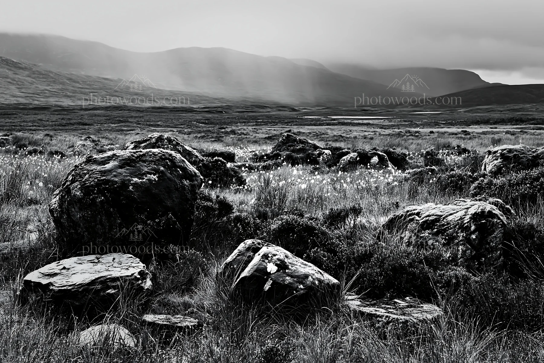 Mossy boulders in a meadow under cloudy skies - AI-generated stock image