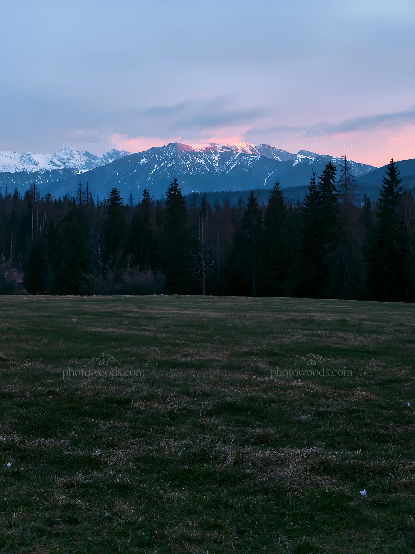 Tatra mountains meadow spring snowmelt at dusk - AI-generated stock image