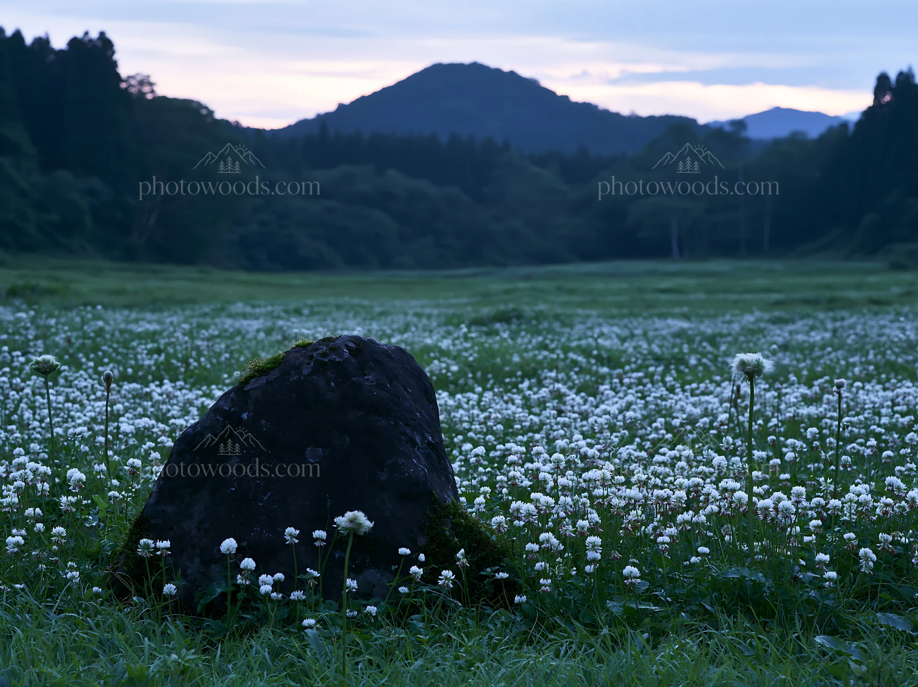 Miyagi spring recovery meadow mossy stone with flowers - AI-generated stock image