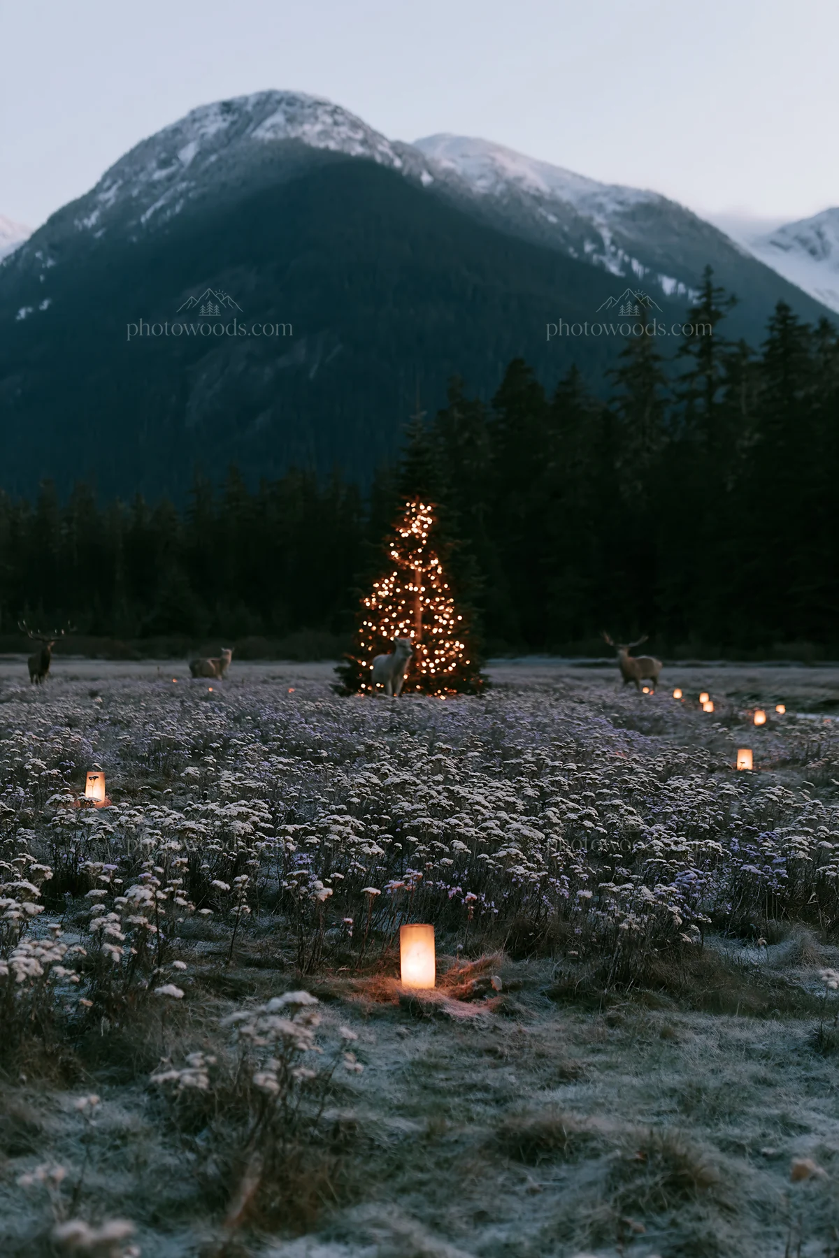 Christmas tree in mountain valley meadow with deer at dusk - AI-generated stock image