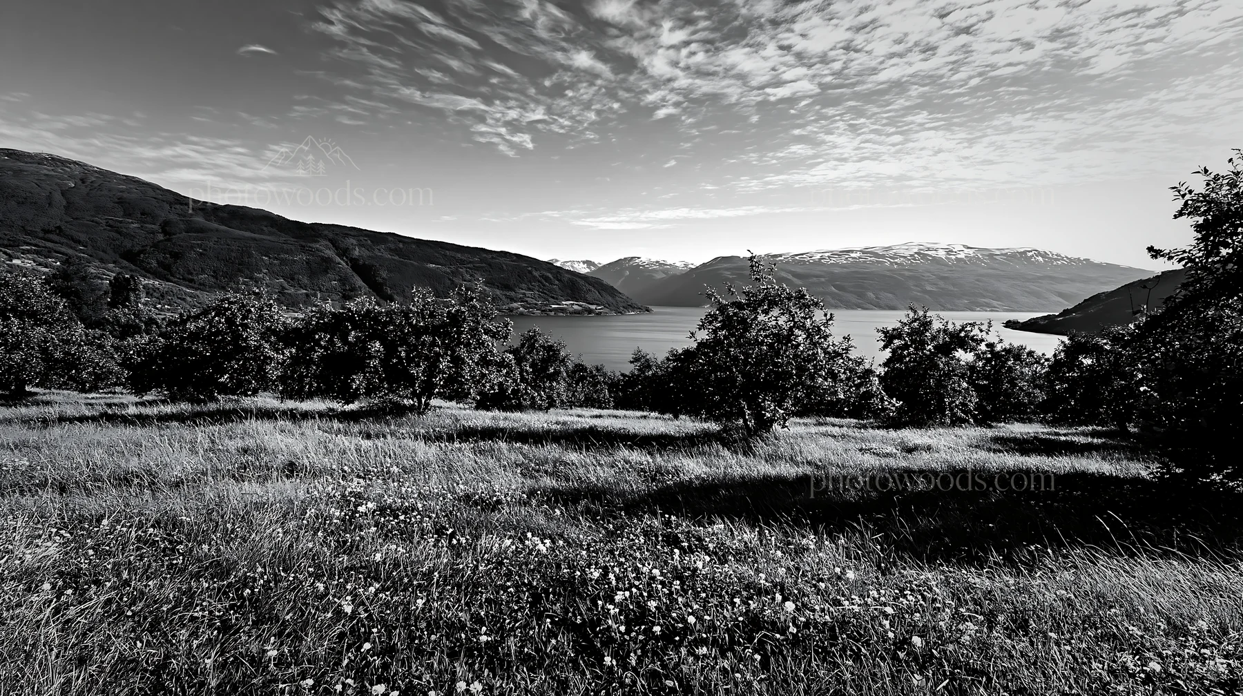 Black and white clover apple meadow with mountains and water under blue sky - AI-generated stock image