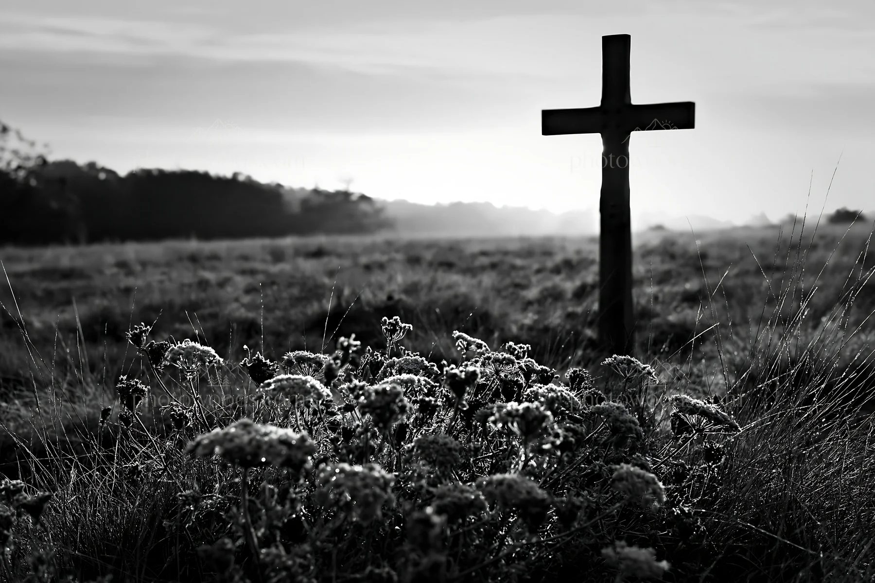 Carved oak cross in frosted meadow at dawn - AI-generated stock image