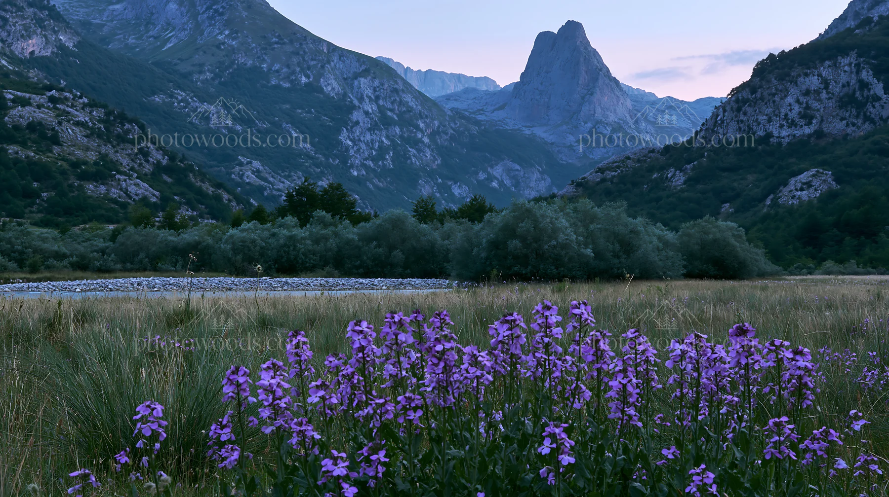 Night-blooming meadow with mountains in background - AI-generated stock image