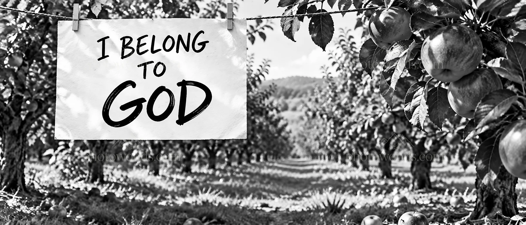Jesus speaks in an orchard with a sign: I belong to God - AI-generated stock image