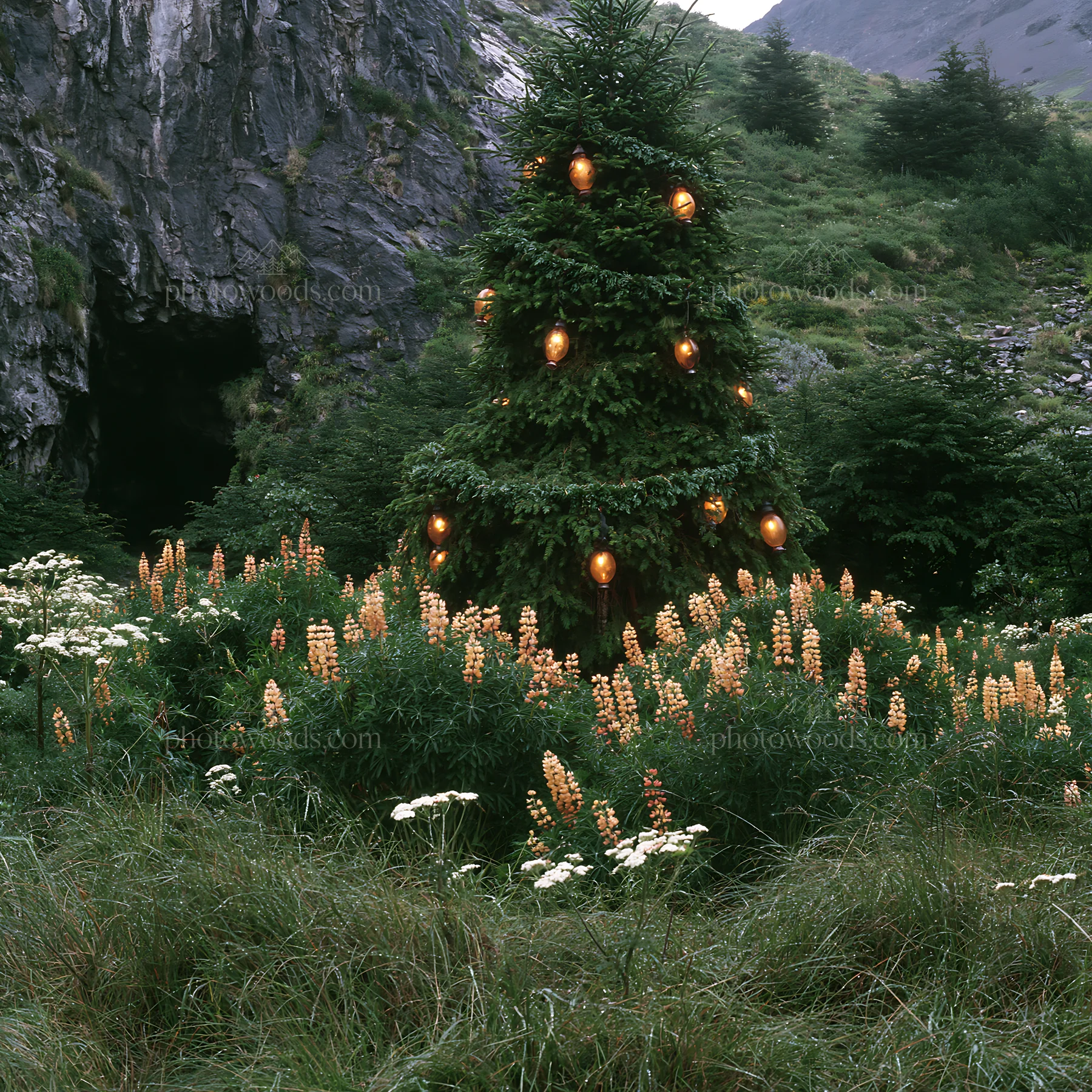 Christmas tree with lanterns in meadow by cave - AI-generated stock image