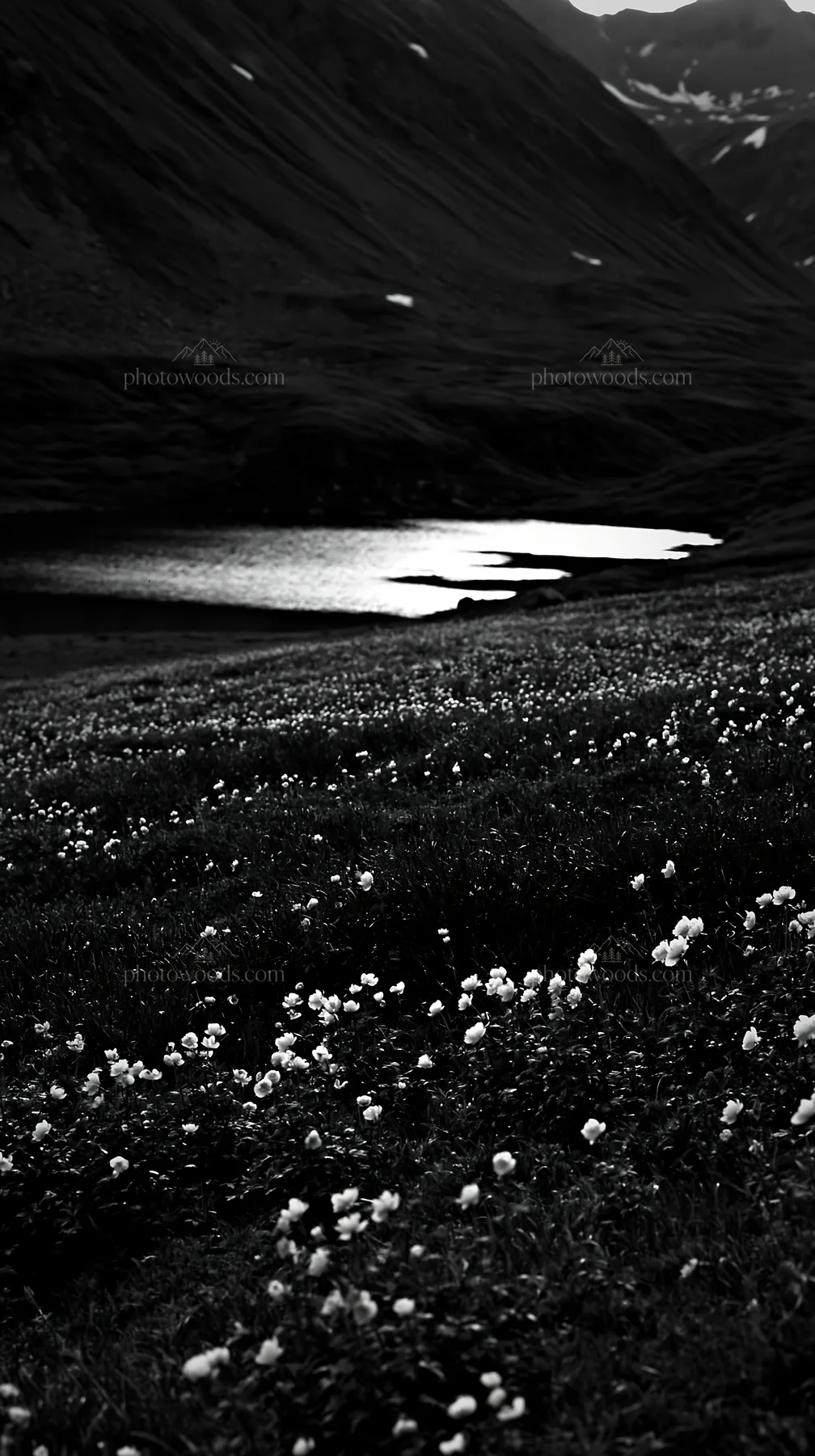 Swiss meadow beside alpine lake at dusk - AI-generated stock image