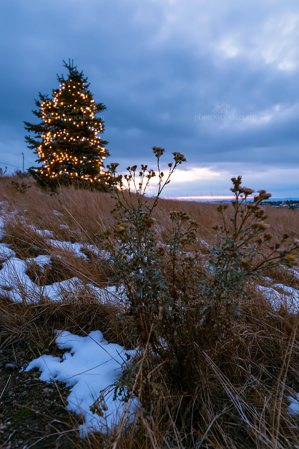 Decorated Christmas tree in snowy meadow at dusk - AI-generated stock image