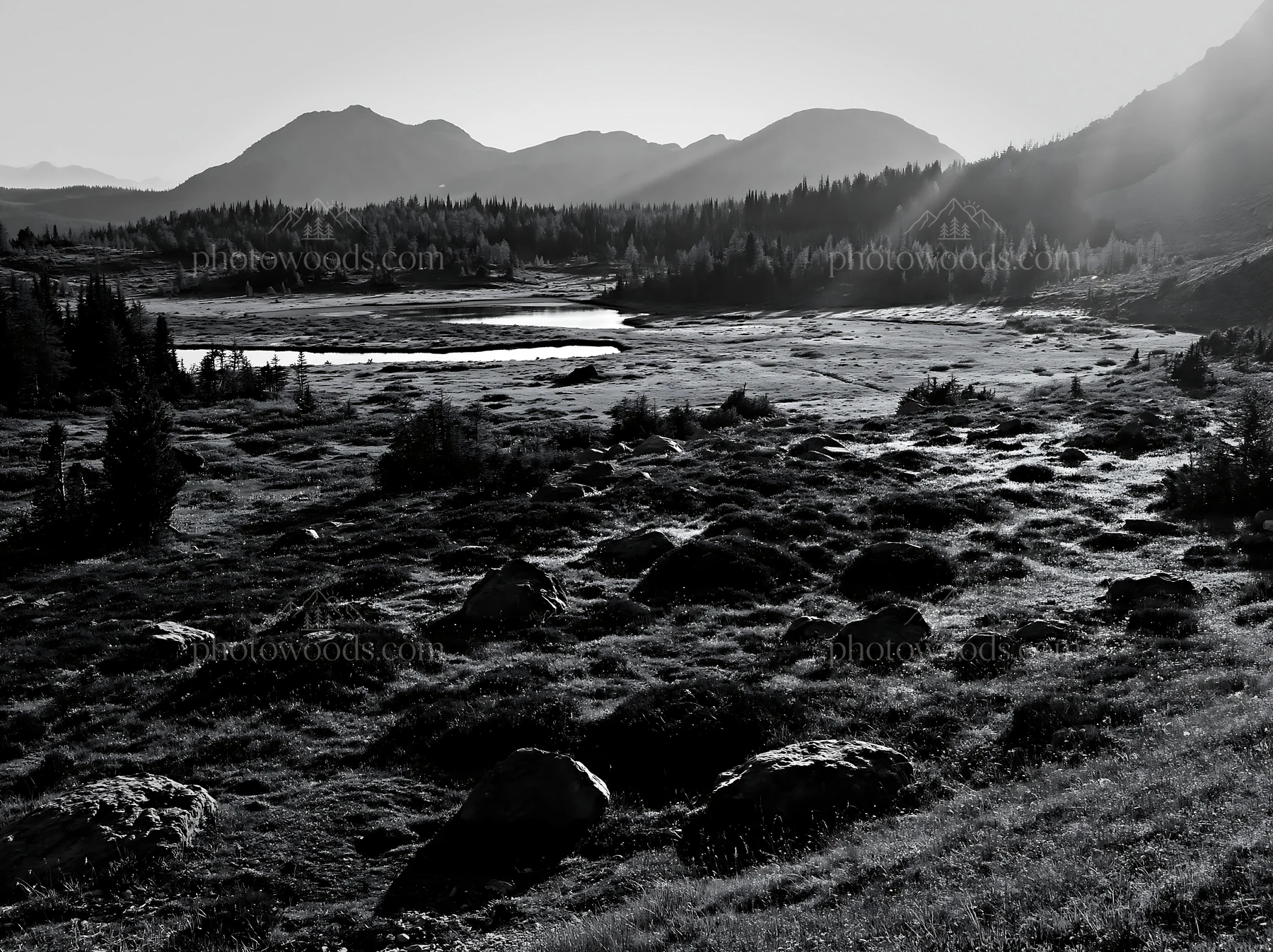 Black and white sunshine Meadows Banff light rays capture the landscape - AI-generated stock image
