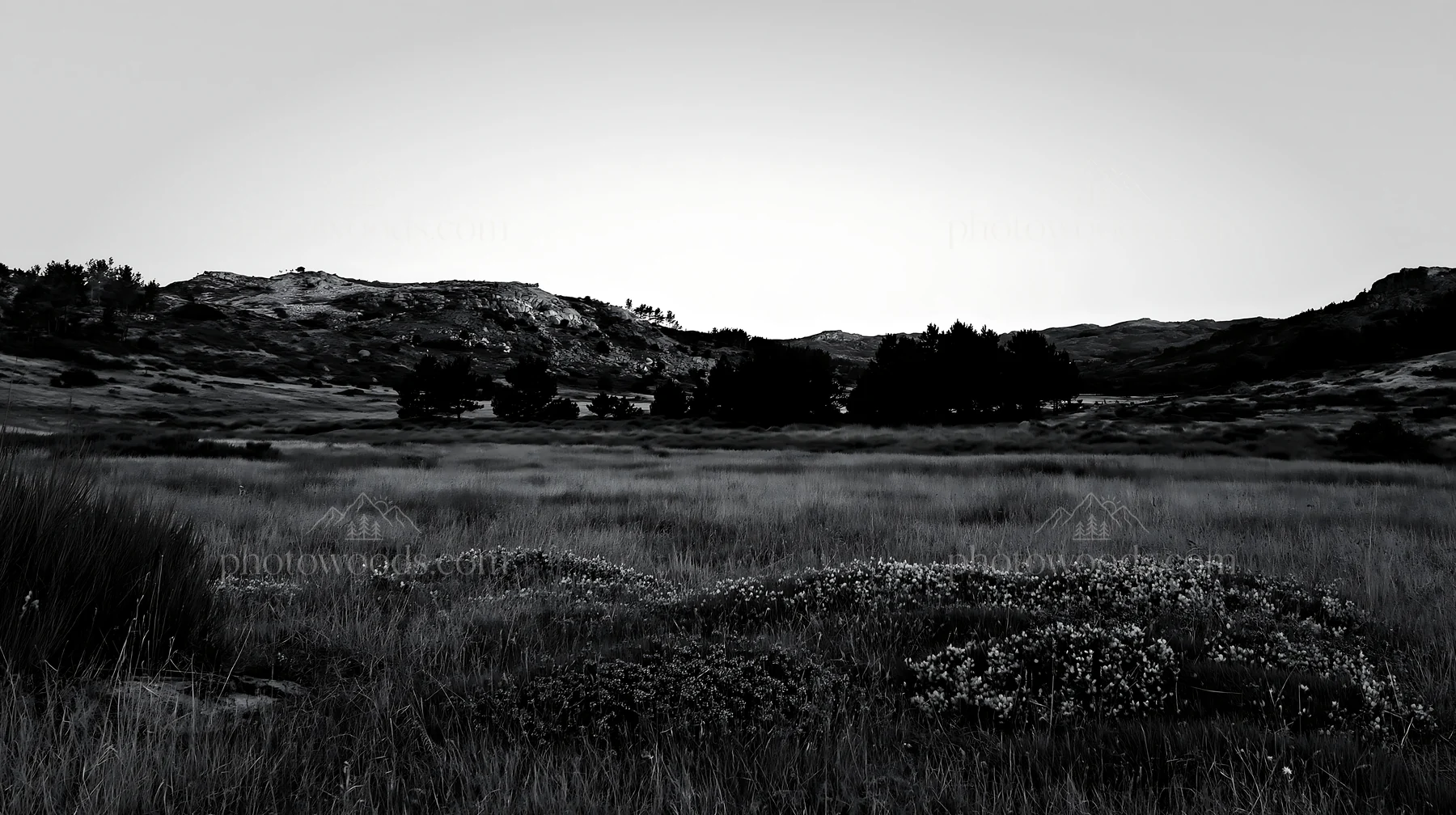 Moonrise over a meadow with hills and trees - AI-generated stock image