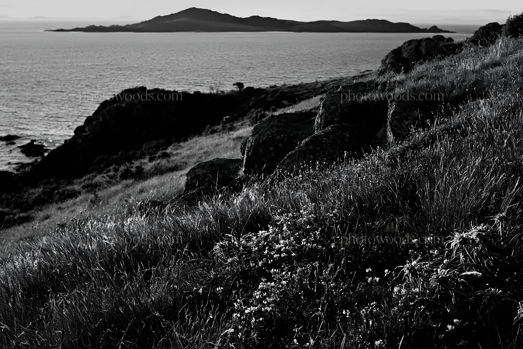 Coastal meadow with rocks and hills near the sea at sunset - AI-generated stock image