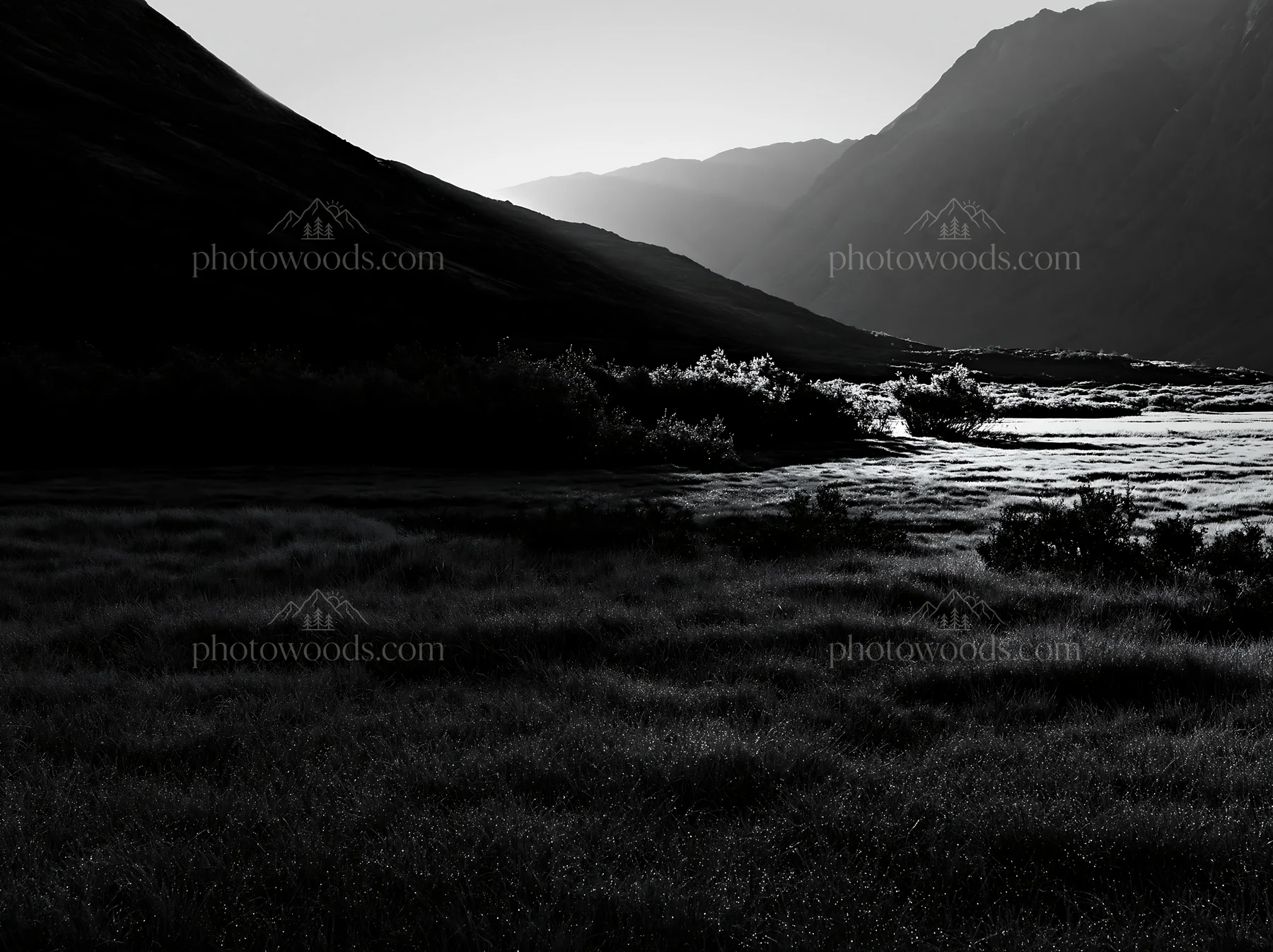 Sunbeams over a meadow in Jotunheimen valley - AI-generated stock image