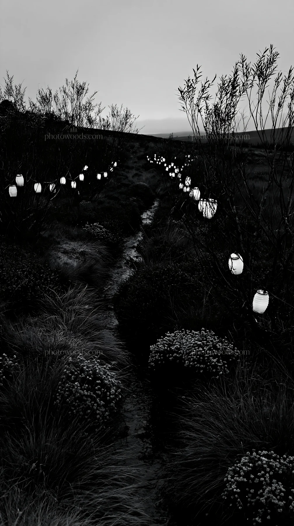 Christmas lights beside stream in meadow at dusk - AI-generated stock image