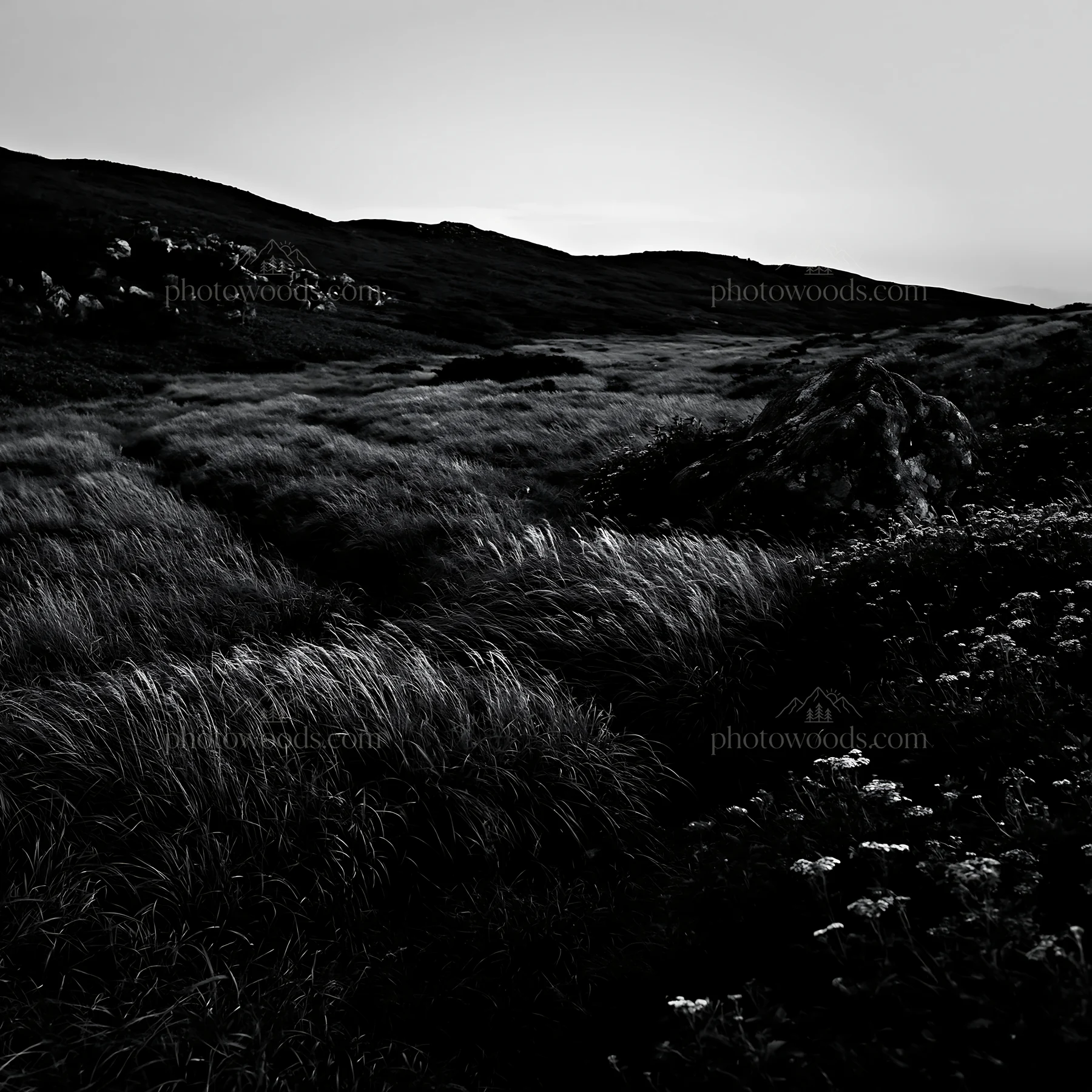 Black and white aomori climate resilient meadow with boulder at dusk - AI-generated stock image