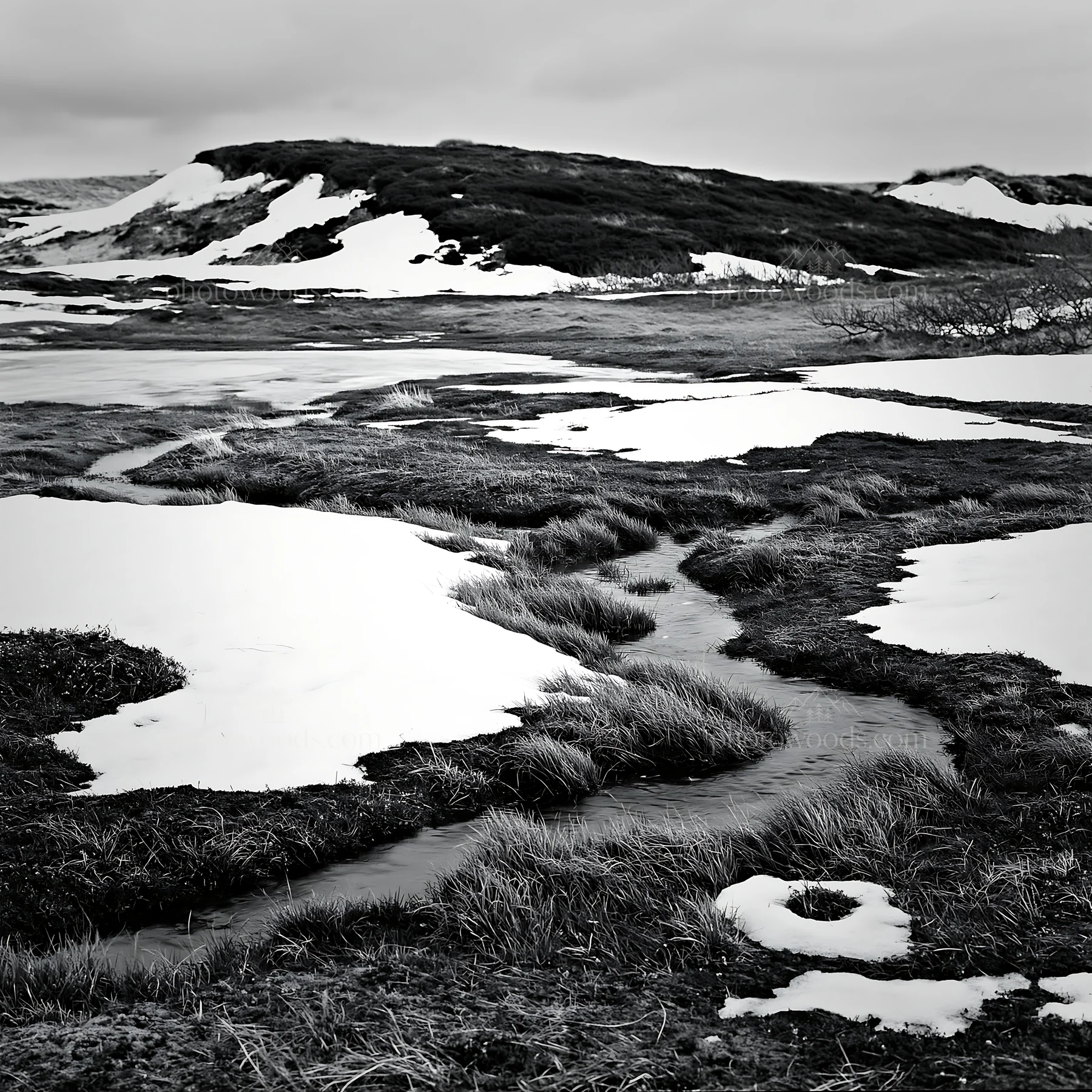 Dune meadow covered in snow with a winding stream - AI-generated stock image