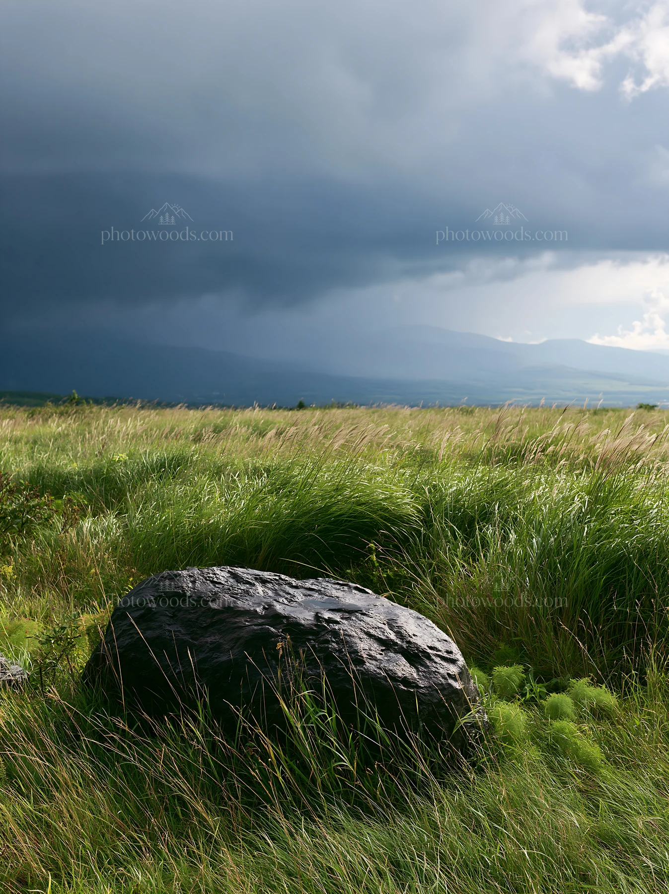 Aomori climate resilient meadow with boulder - AI-generated stock image