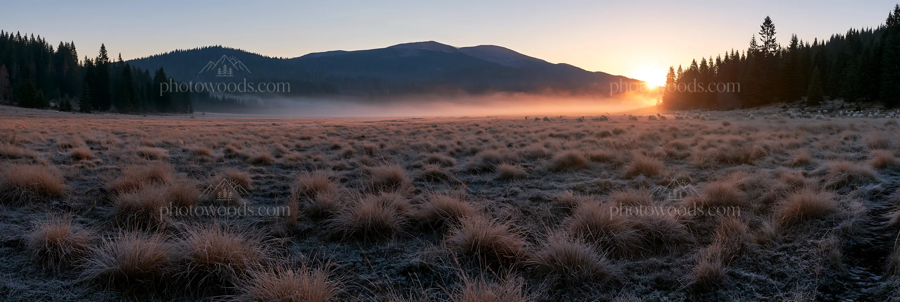 Frosty meadow sunrise with mist and mountains in background - AI-generated stock image