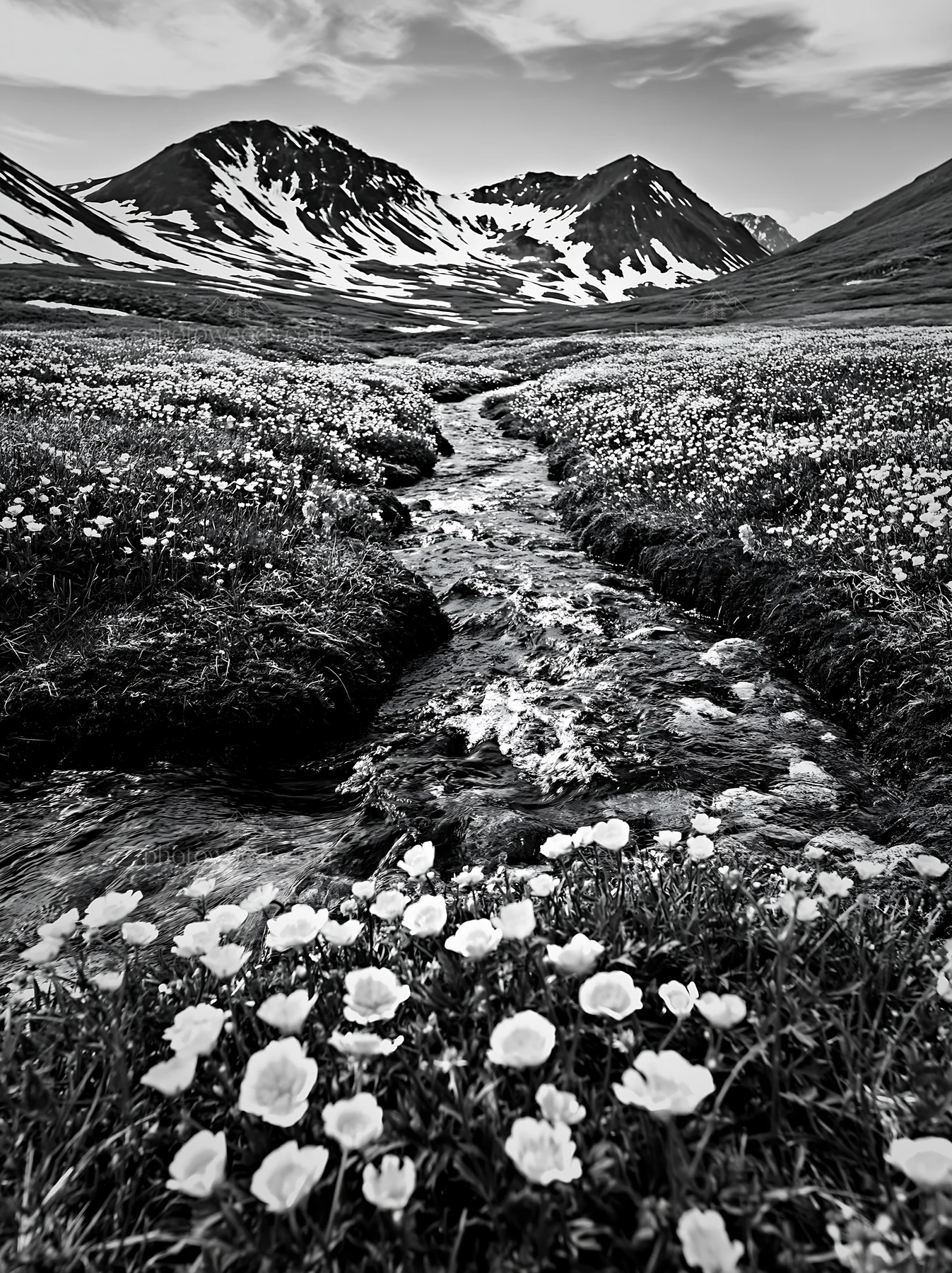 Colorful buttercup meadow with mountains in the background - AI-generated stock image