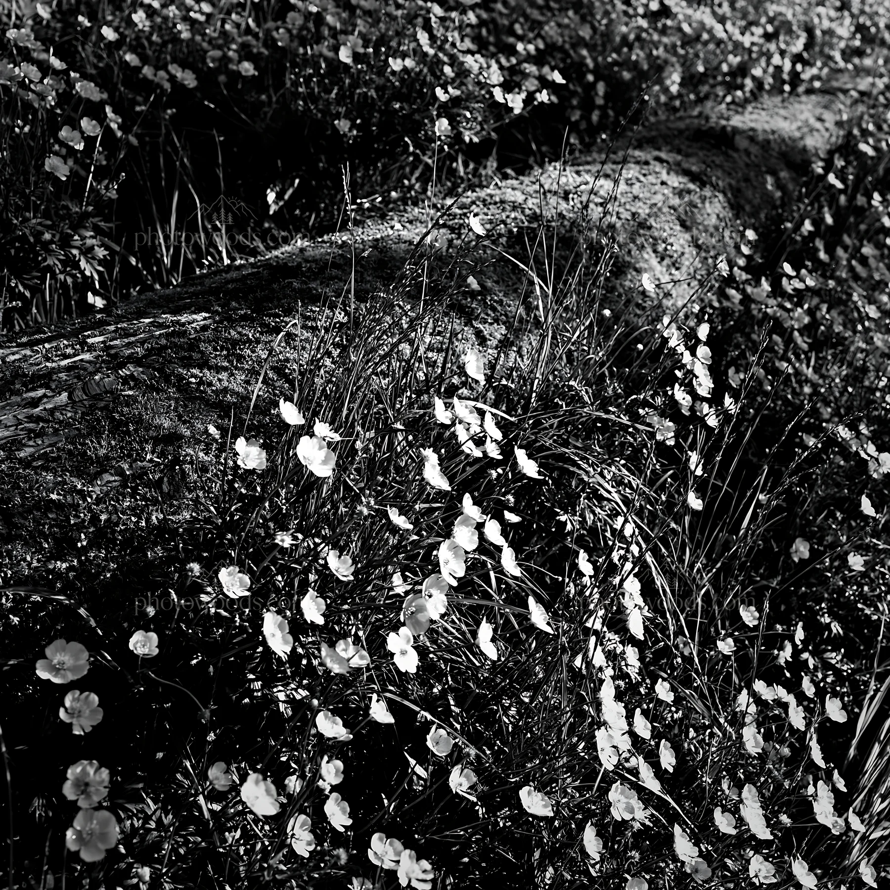 Mossy log in Gifu meadow with flowers and green grass - AI-generated stock image
