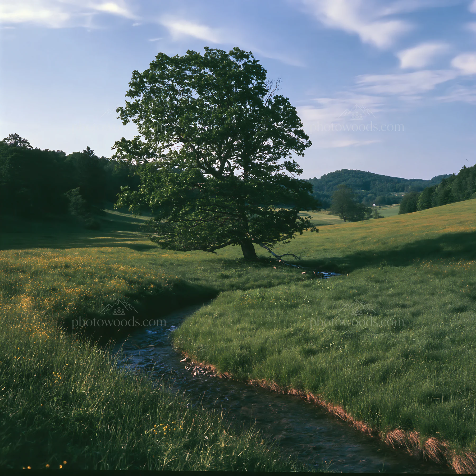 High contrast meadow with natural watercourse and tree - AI-generated stock image