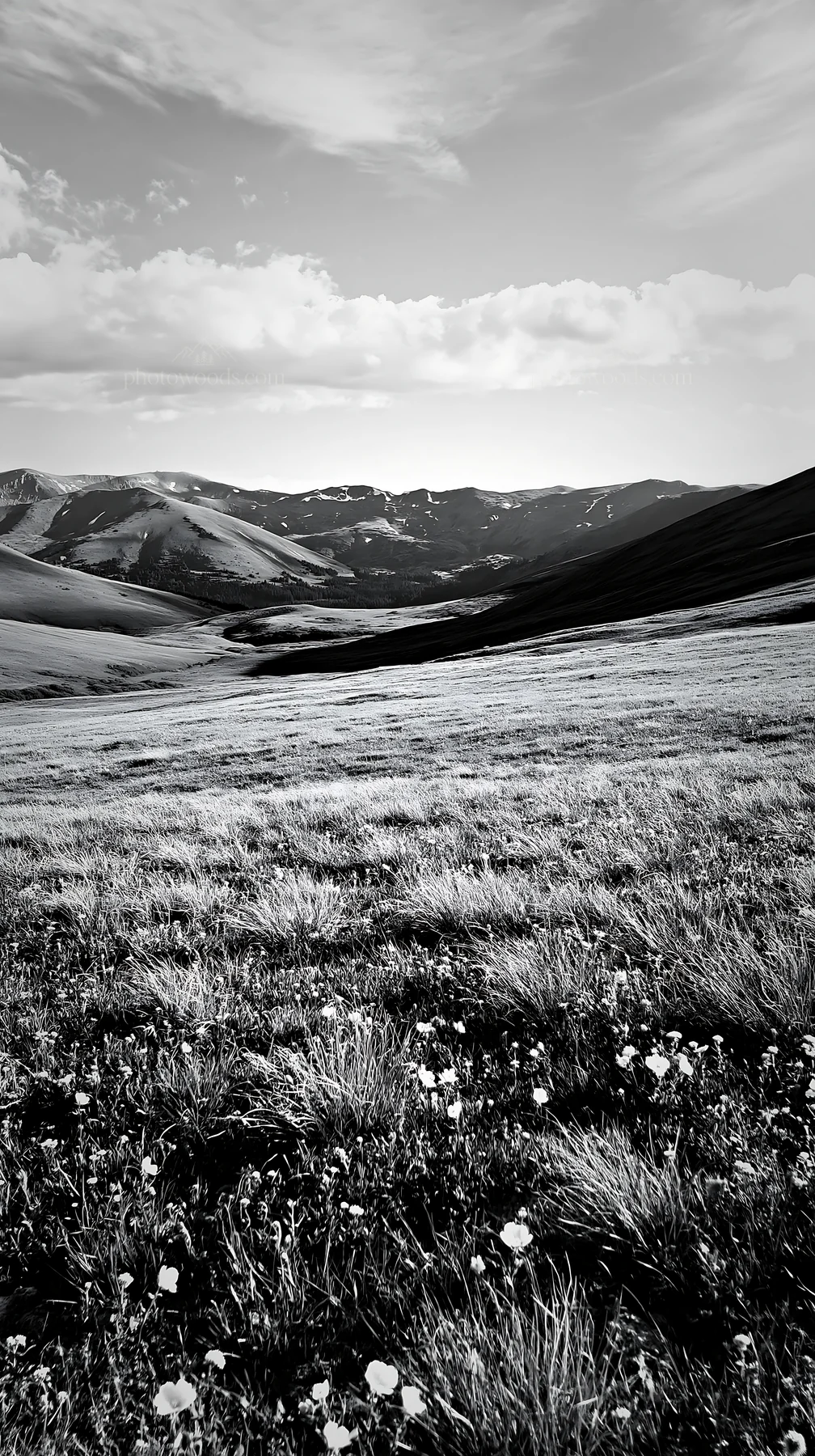 Black and white climate-resilient meadow with mountains in the background - AI-generated stock image