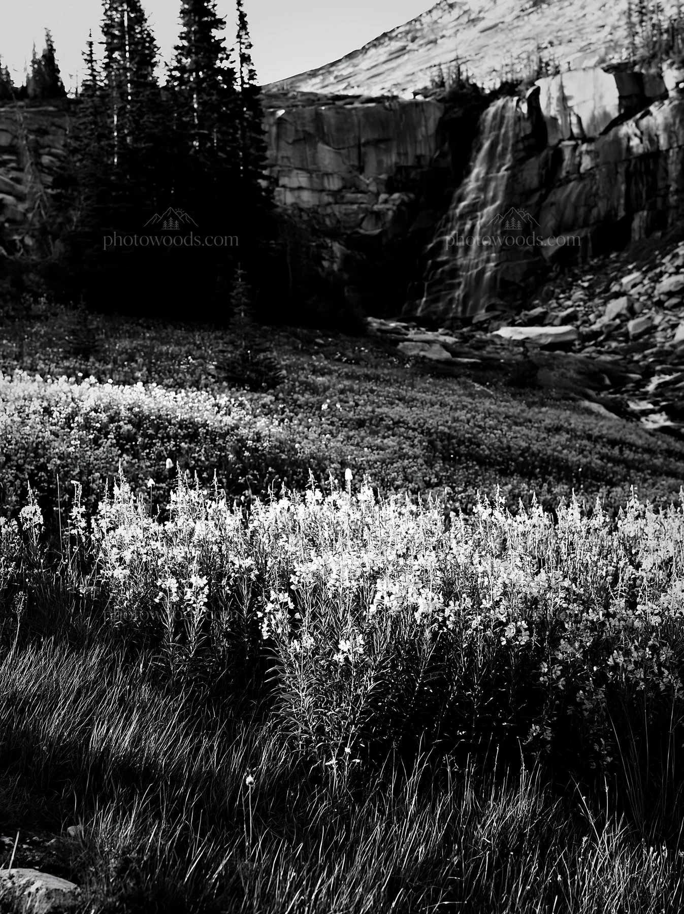 Flower meadow below a cascade in a mountain landscape - AI-generated stock image
