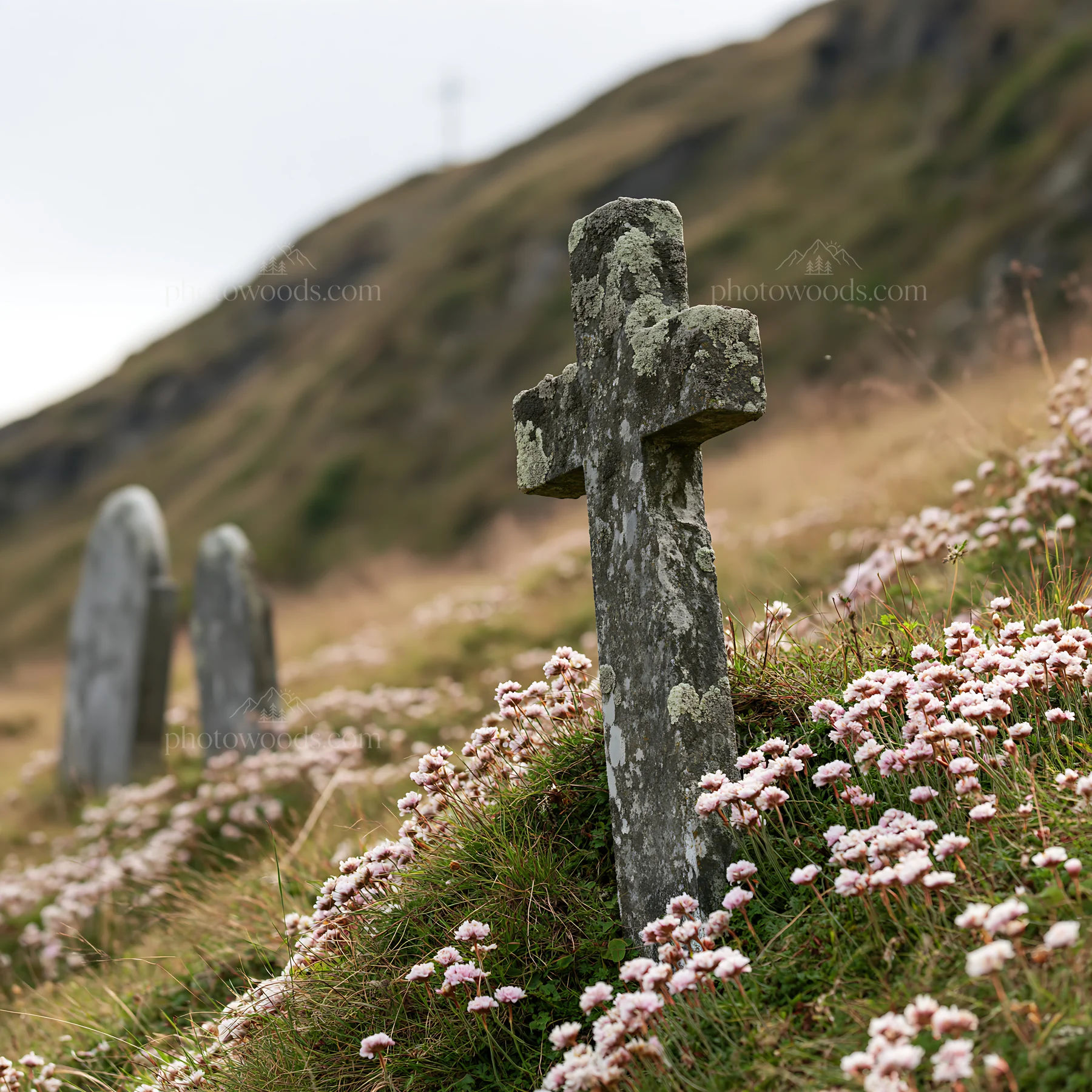 Cross over secluded mountain meadow with wildflowers - AI-generated stock image
